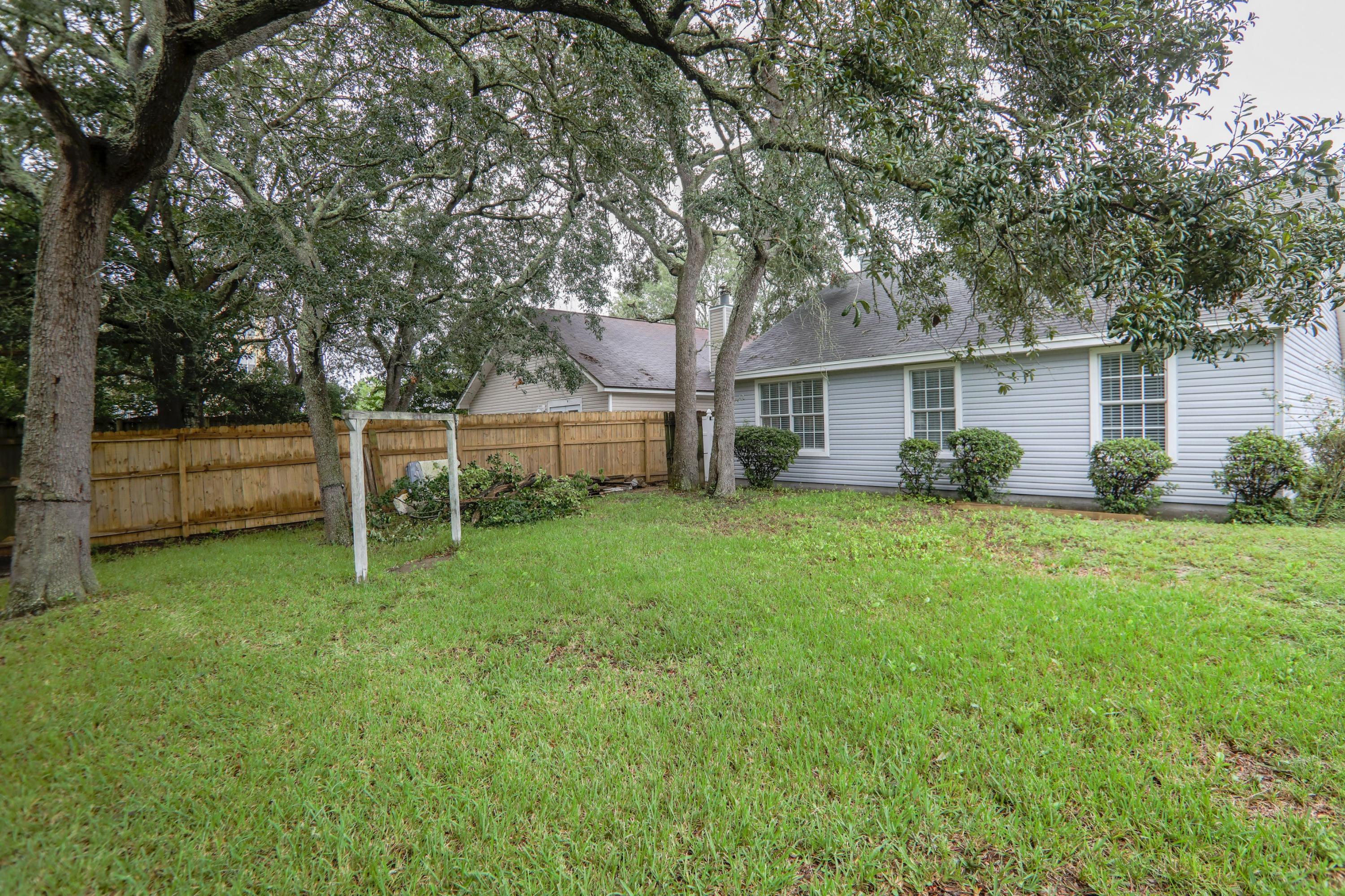 SUMMER TREE - Residential