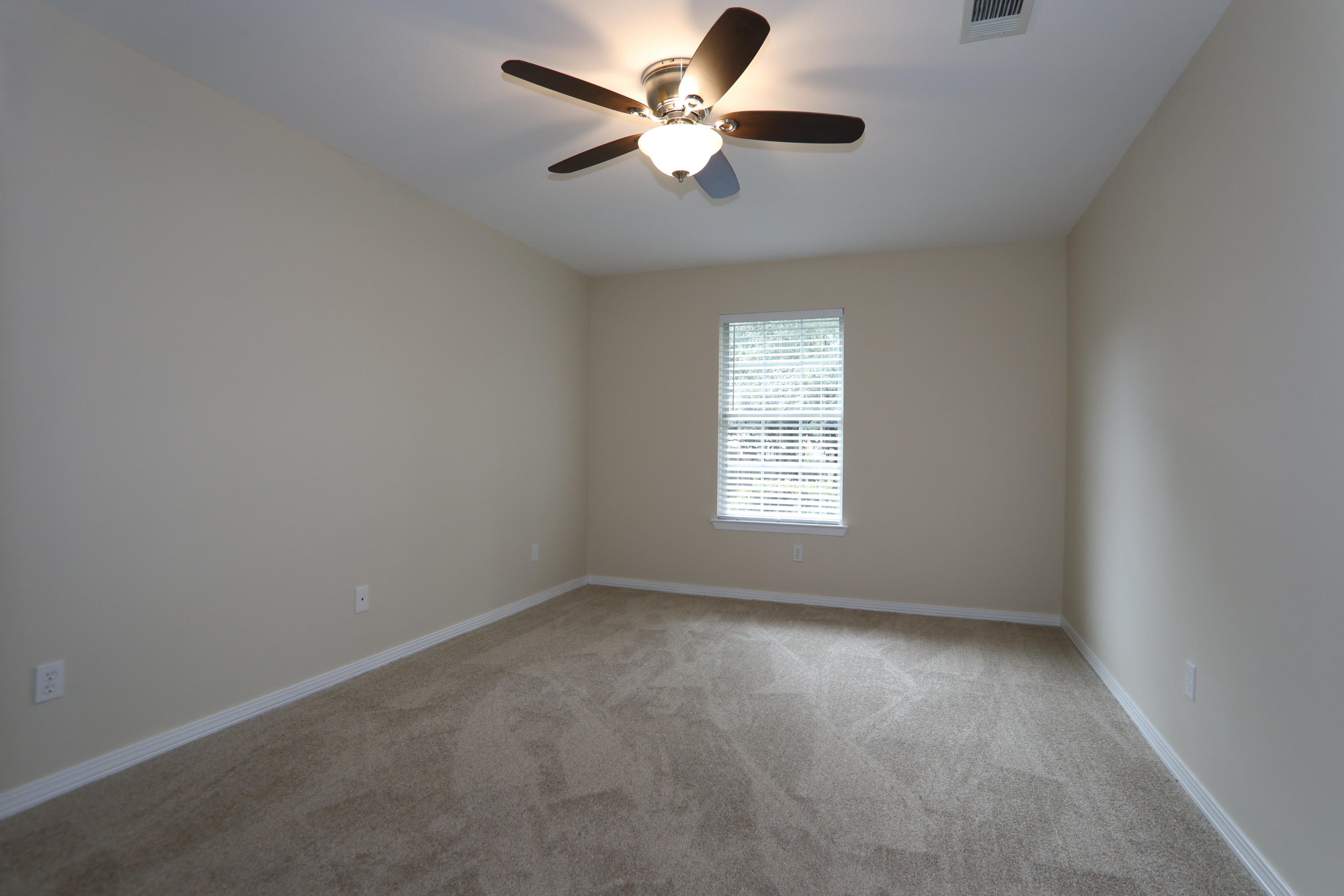 SUMMER TREE - Residential