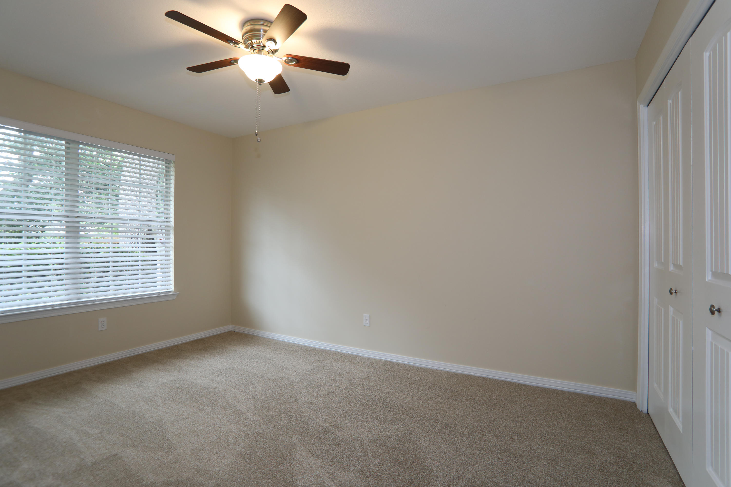 SUMMER TREE - Residential