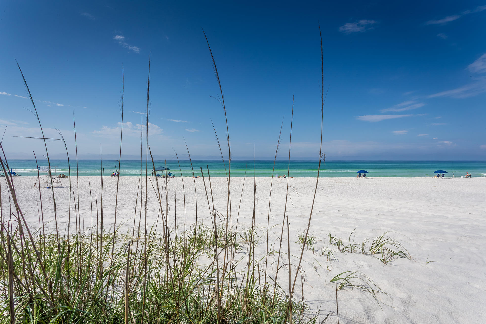 SHIPWATCH - Residential