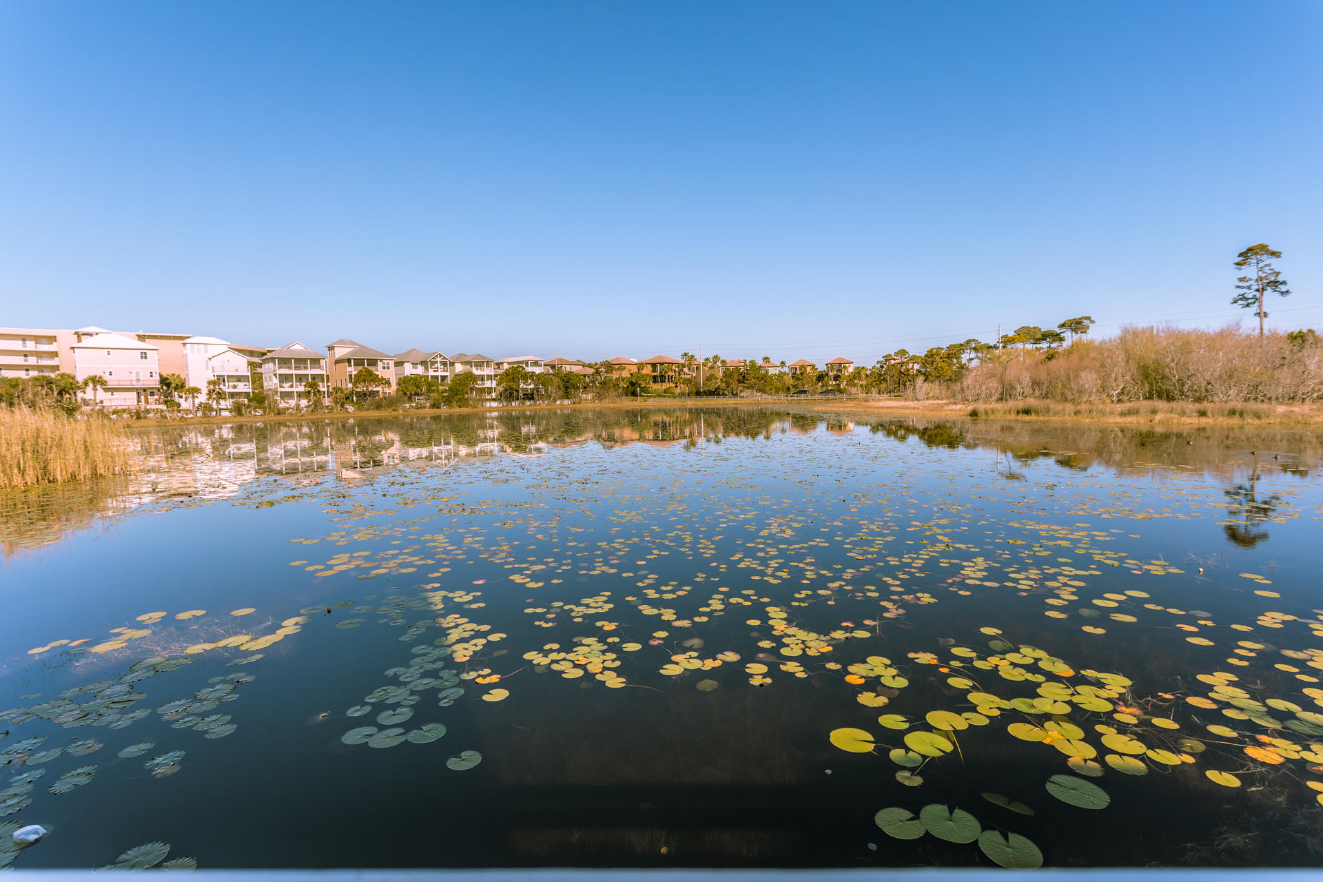 SHIPWATCH - Residential