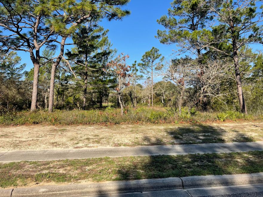 Great building lot located on hole number 10 at the Audubon Signature Sanctuary golf course, known as St James Bay Golf Resort. Enjoy tranquil bay breezes and a leisurely pace of coastal living without the crowds and high rise condos. Located on a pond with a view of the fairway, one can be assured of having the viewing pleasure to witness some of North Florida's abundant wildlife. Lot is also within easy walking distance of the clubhouse and general amenity area. Amenities include; clubhouse with pro shop and restaurant, pickleball courts, bay access with dock, and more. Reasonable HOA and building restrictions in place in order to protect your investment. Call today!!