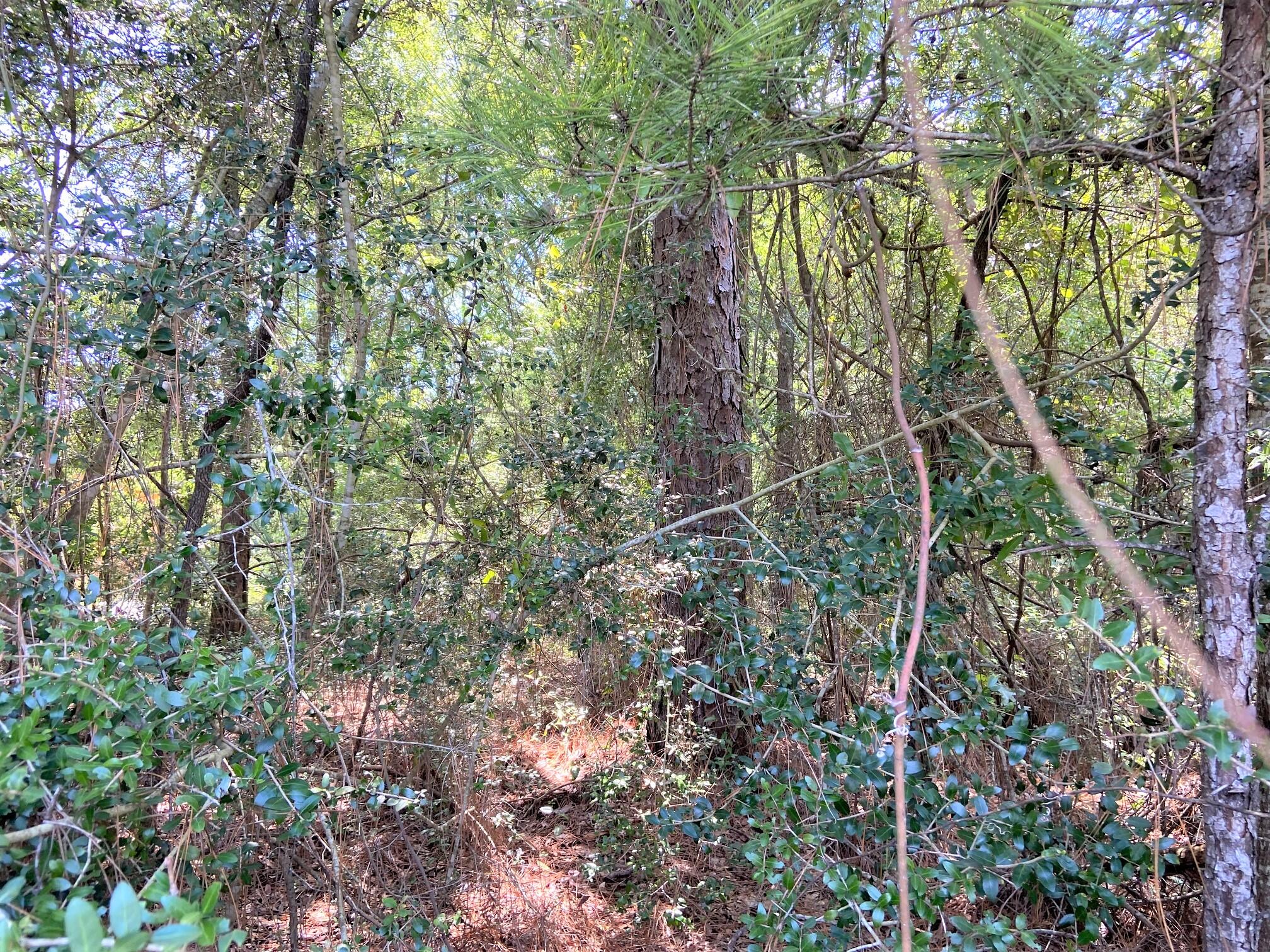 LAKE JUNIPER ESTATES UNIT 3 - Land