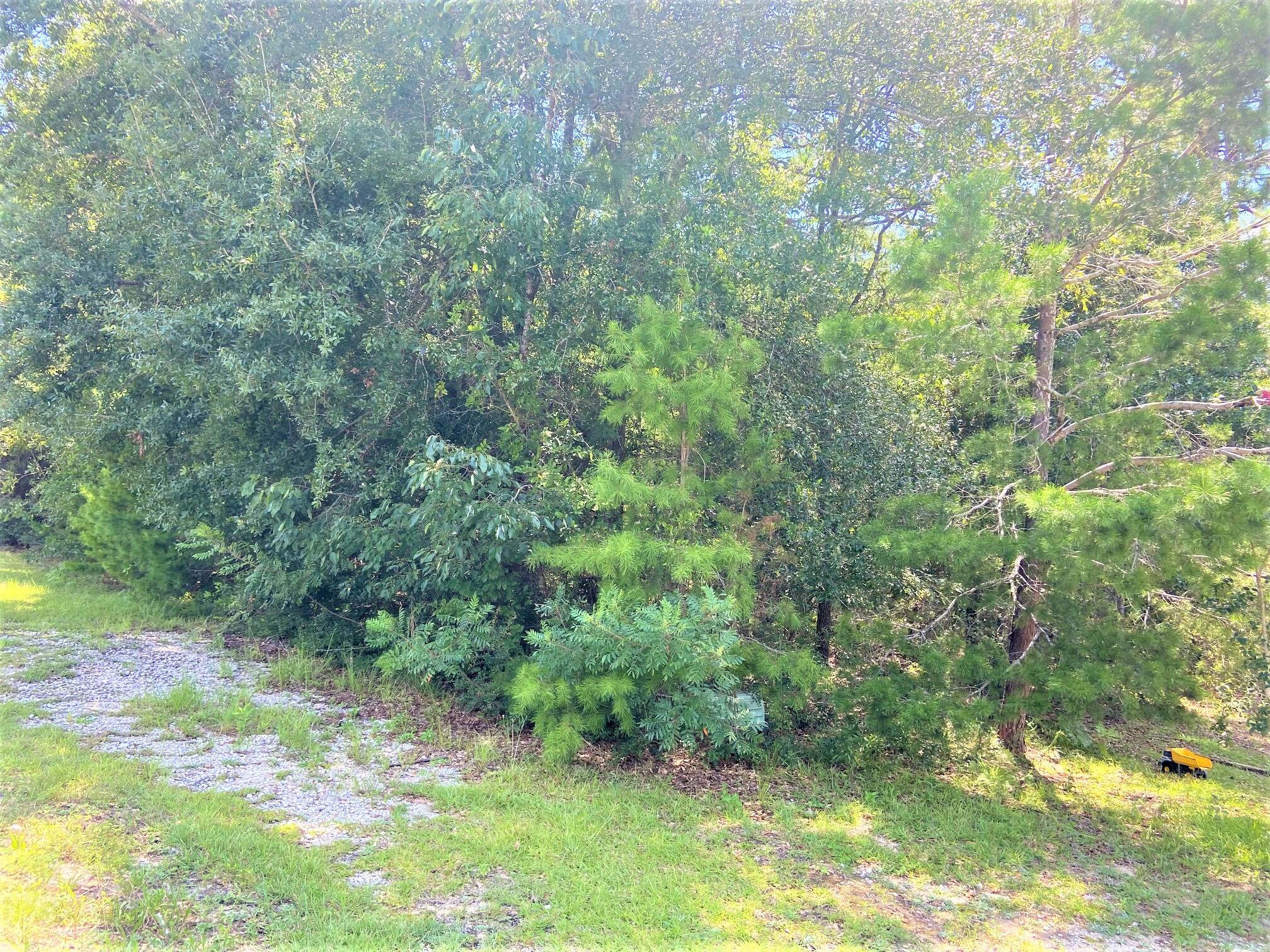 LAKE JUNIPER ESTATES UNIT 3 - Land