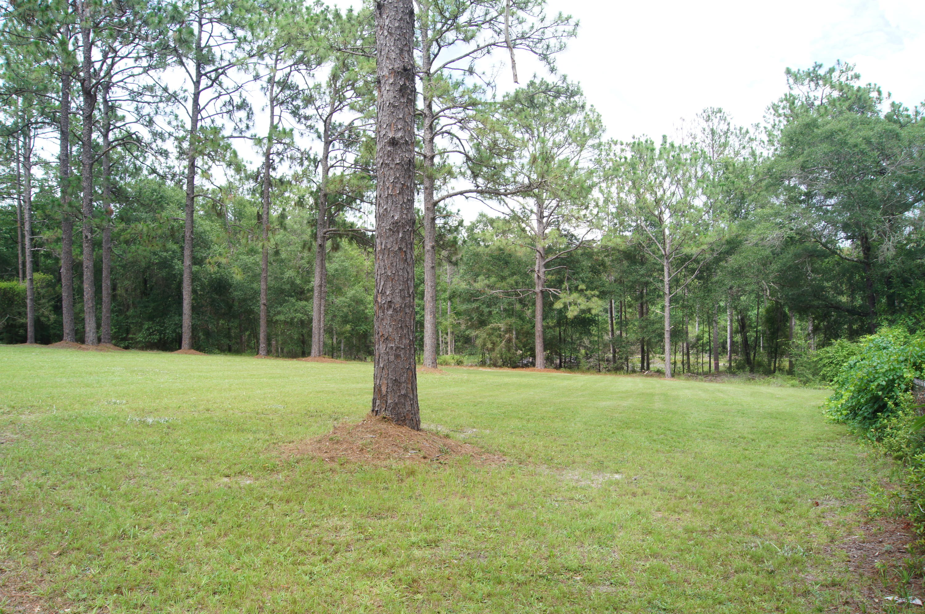 CRESTVIEW SUBURB - Residential