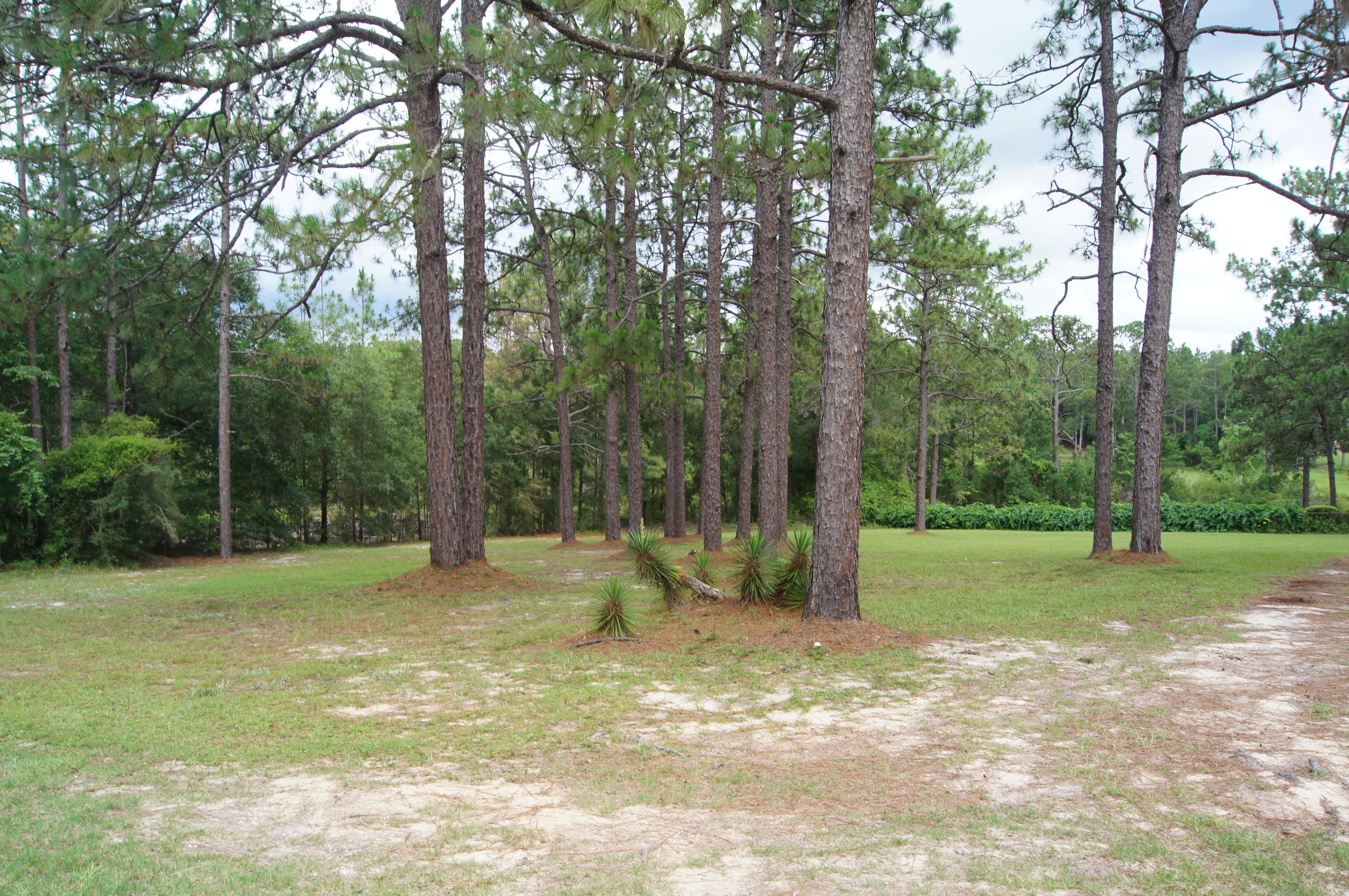 CRESTVIEW SUBURB - Residential