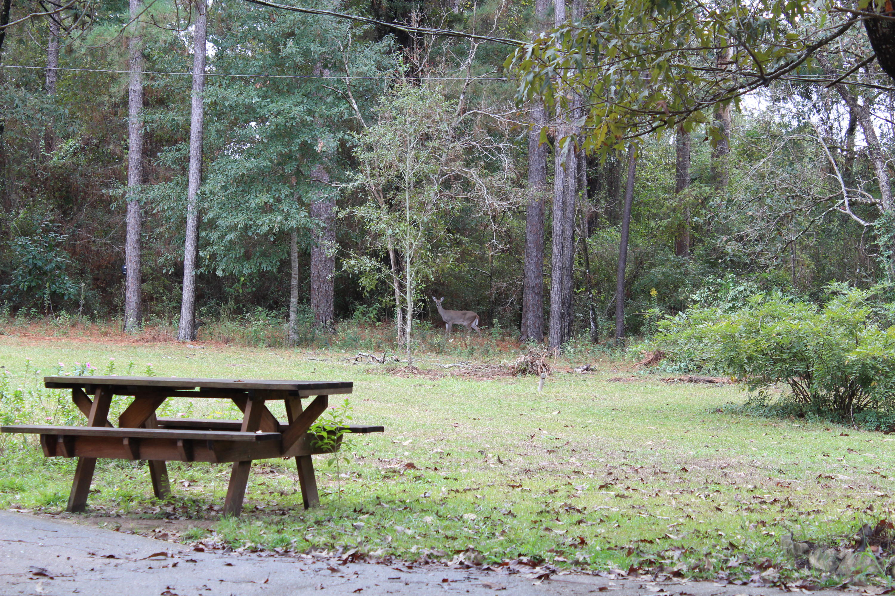 METES & BOUNDS - Residential Lease