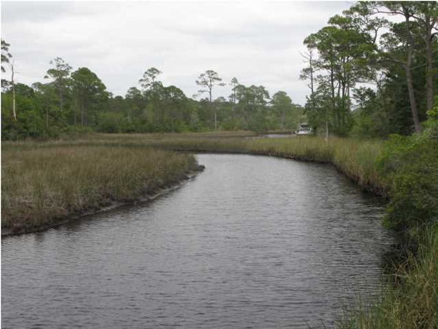 Nice wooded lot with community pool and board walk and pier down to Lake. Listing Broker/Salesperson has ownership interest in the property.