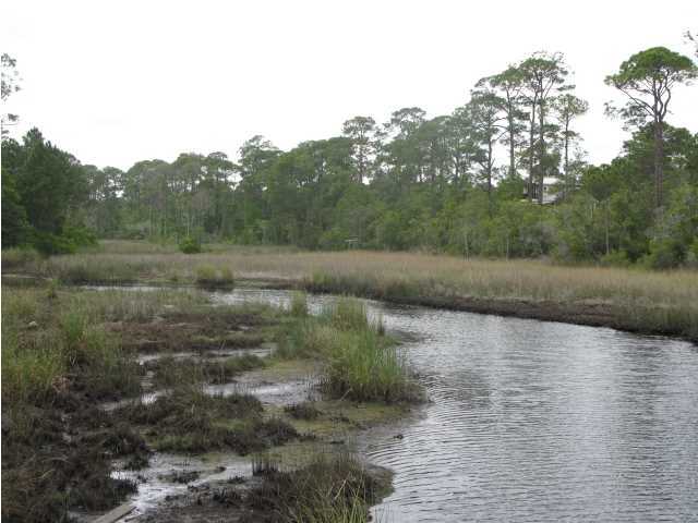 PRESERVE AT INLET BEACH - Land
