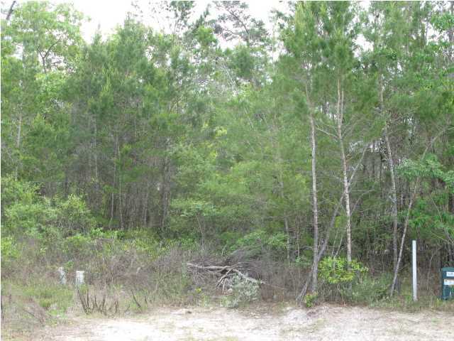PRESERVE AT INLET BEACH - Land