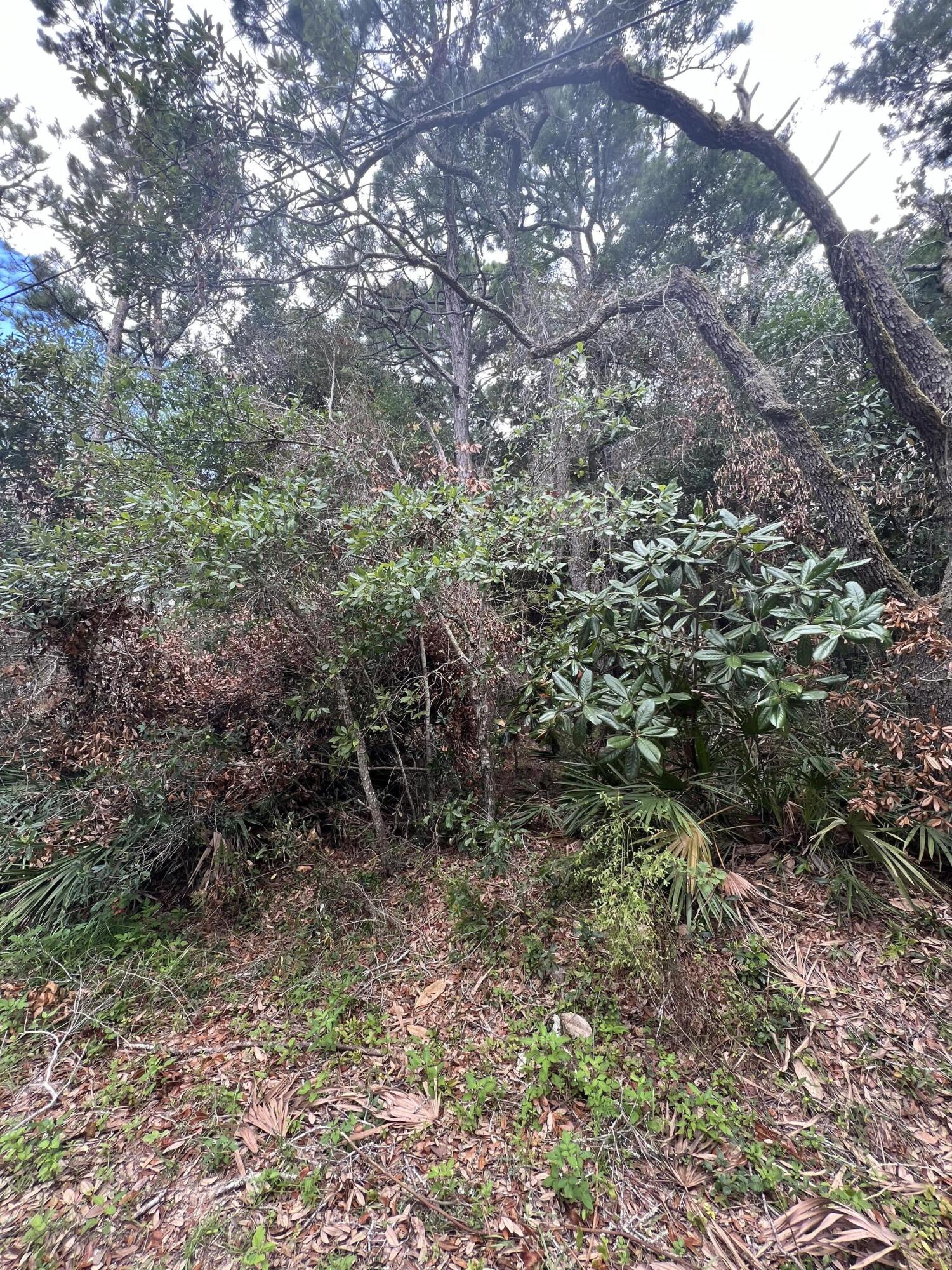 Turquoise Beach 2nd Addition - Land