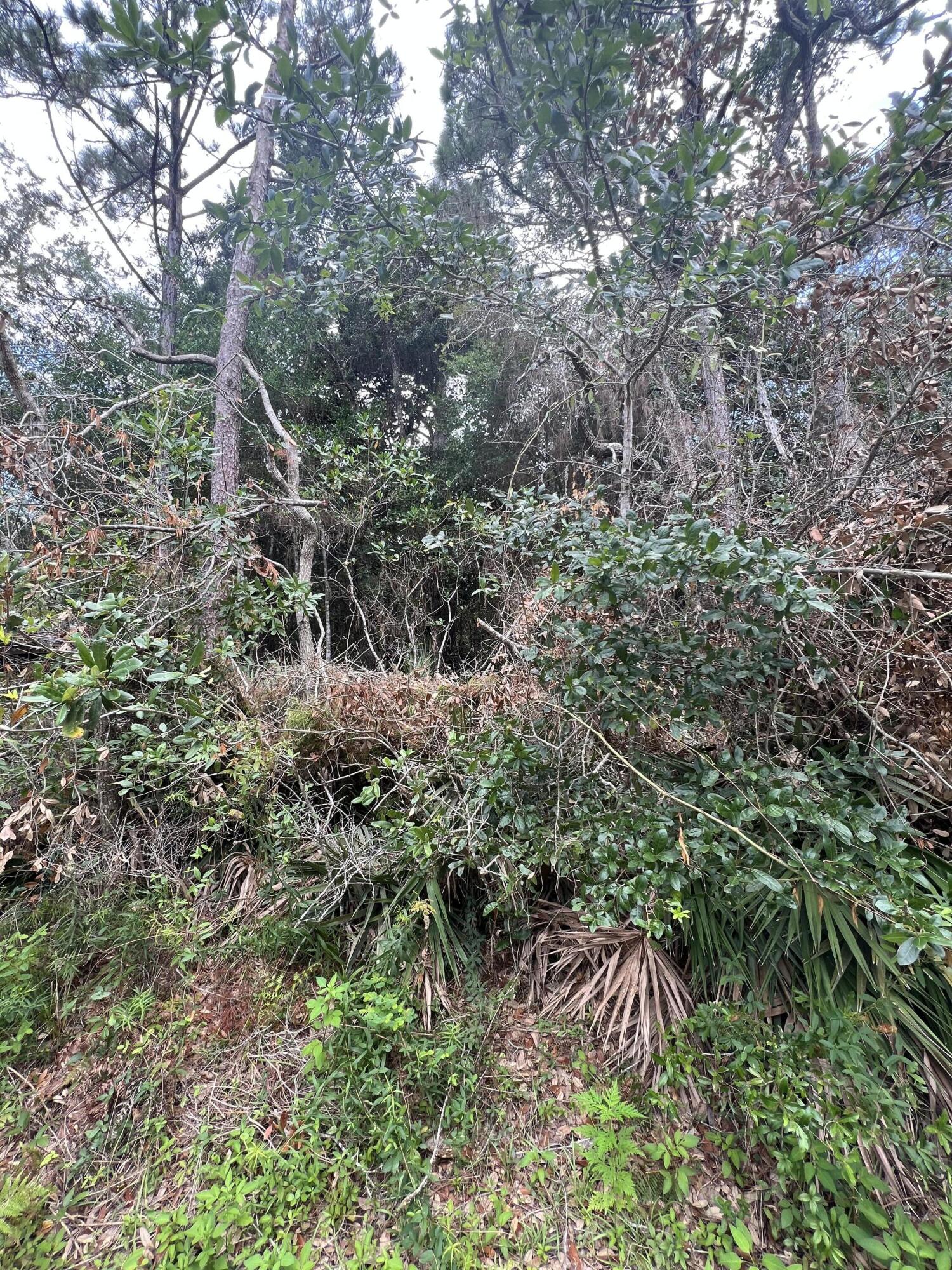 Turquoise Beach 2nd Addition - Land