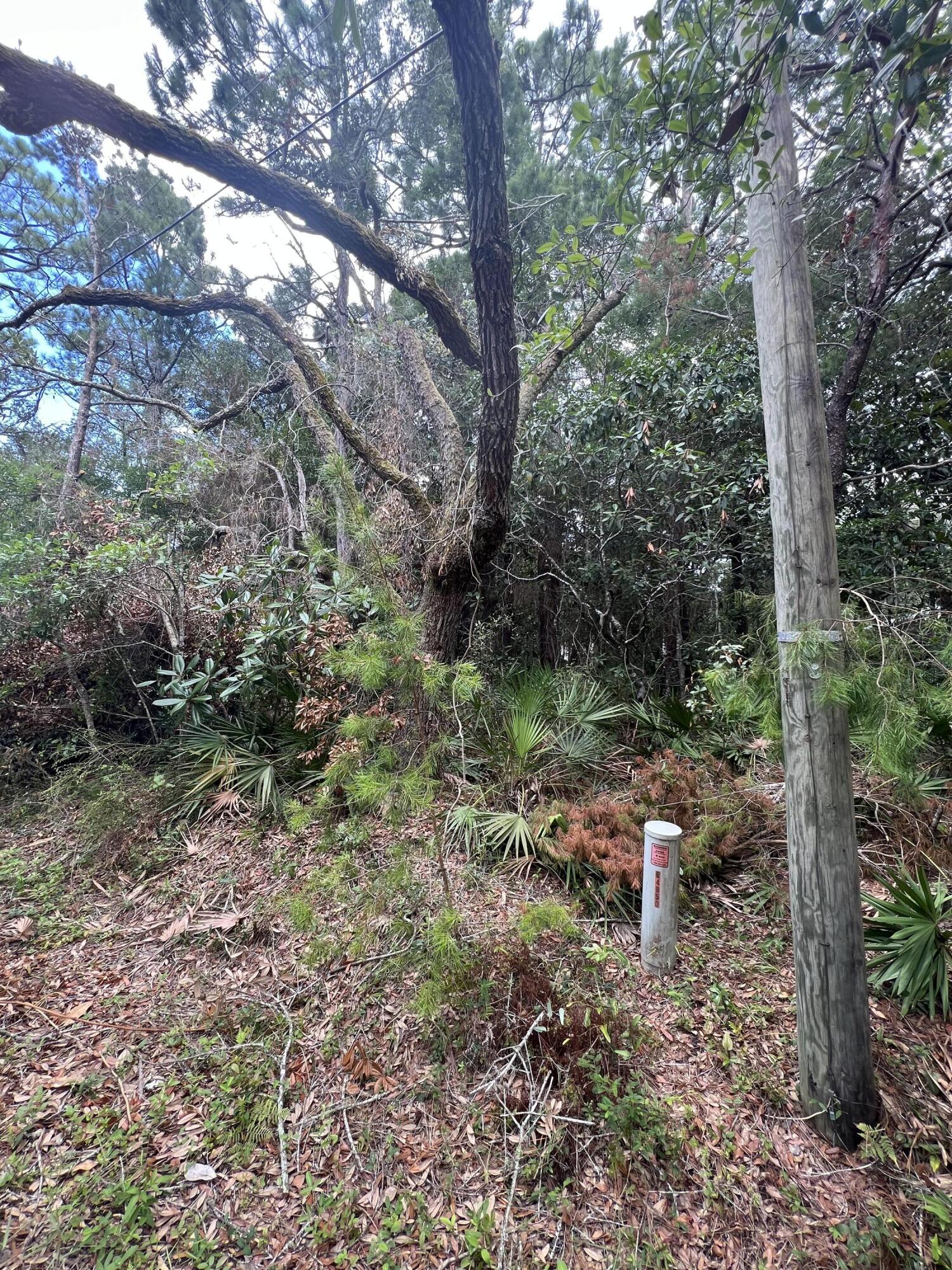 Wonderful quarter of an acre lot that is not covered by an HOA. The area is quickly building. This offer has been privately owned since 1983. Please do not walk the property without permission.