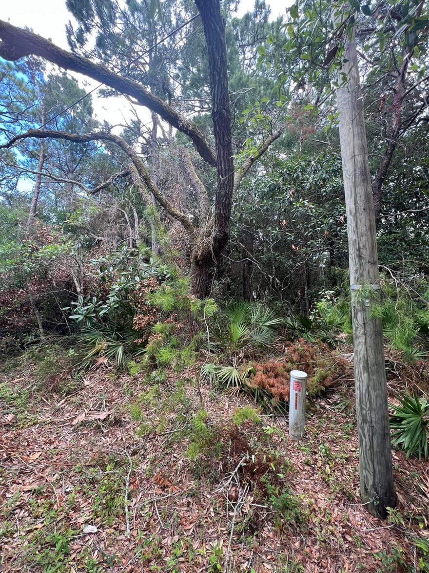 Wonderful quarter of an acre lot that is not covered by an HOA.  The area is quickly building.  This offer has been privately owned since 1983.  Please do not walk the property without permission.