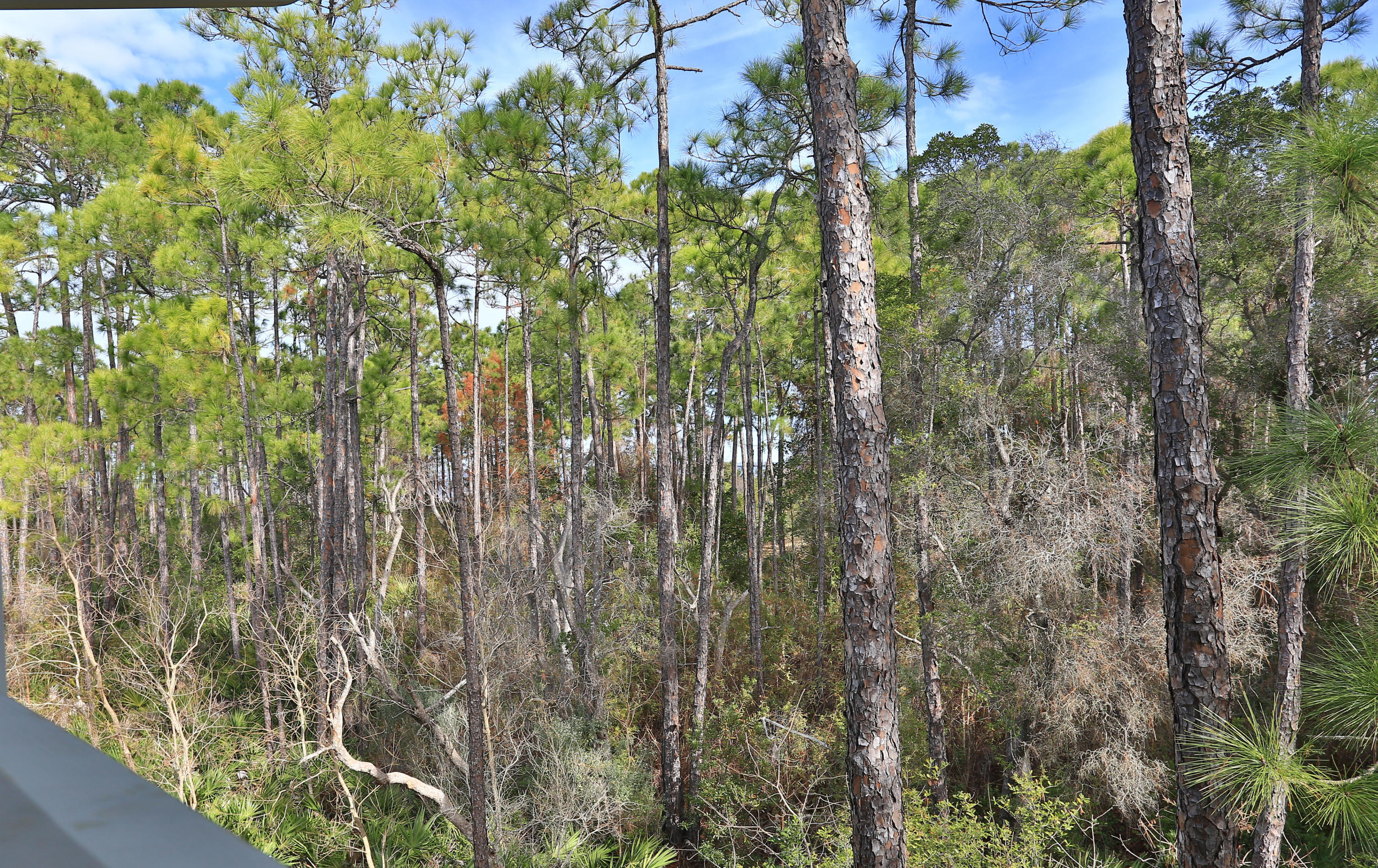 KELLY PLANTATION S/D - Residential