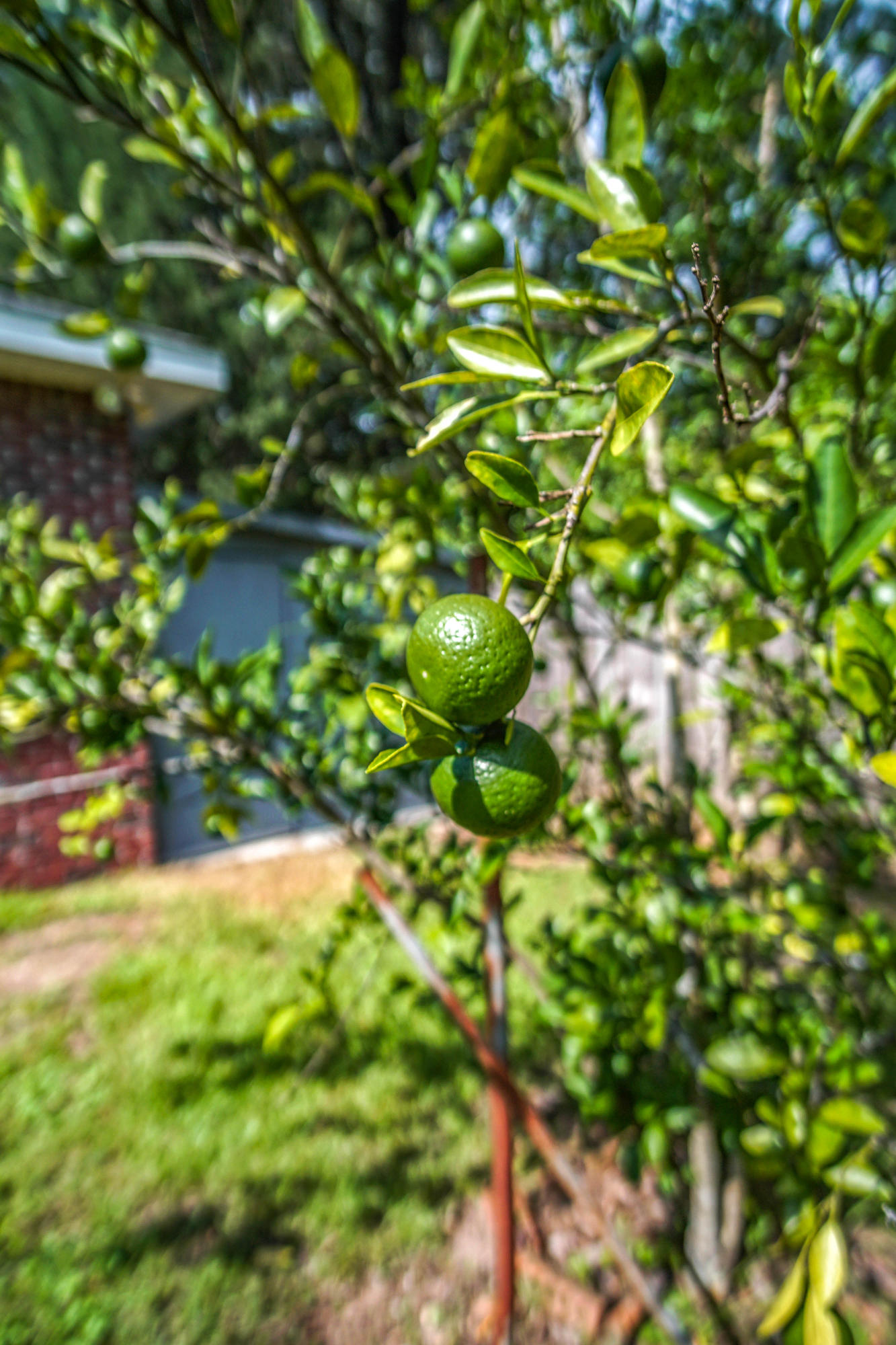 ADAMS POWELL - Residential