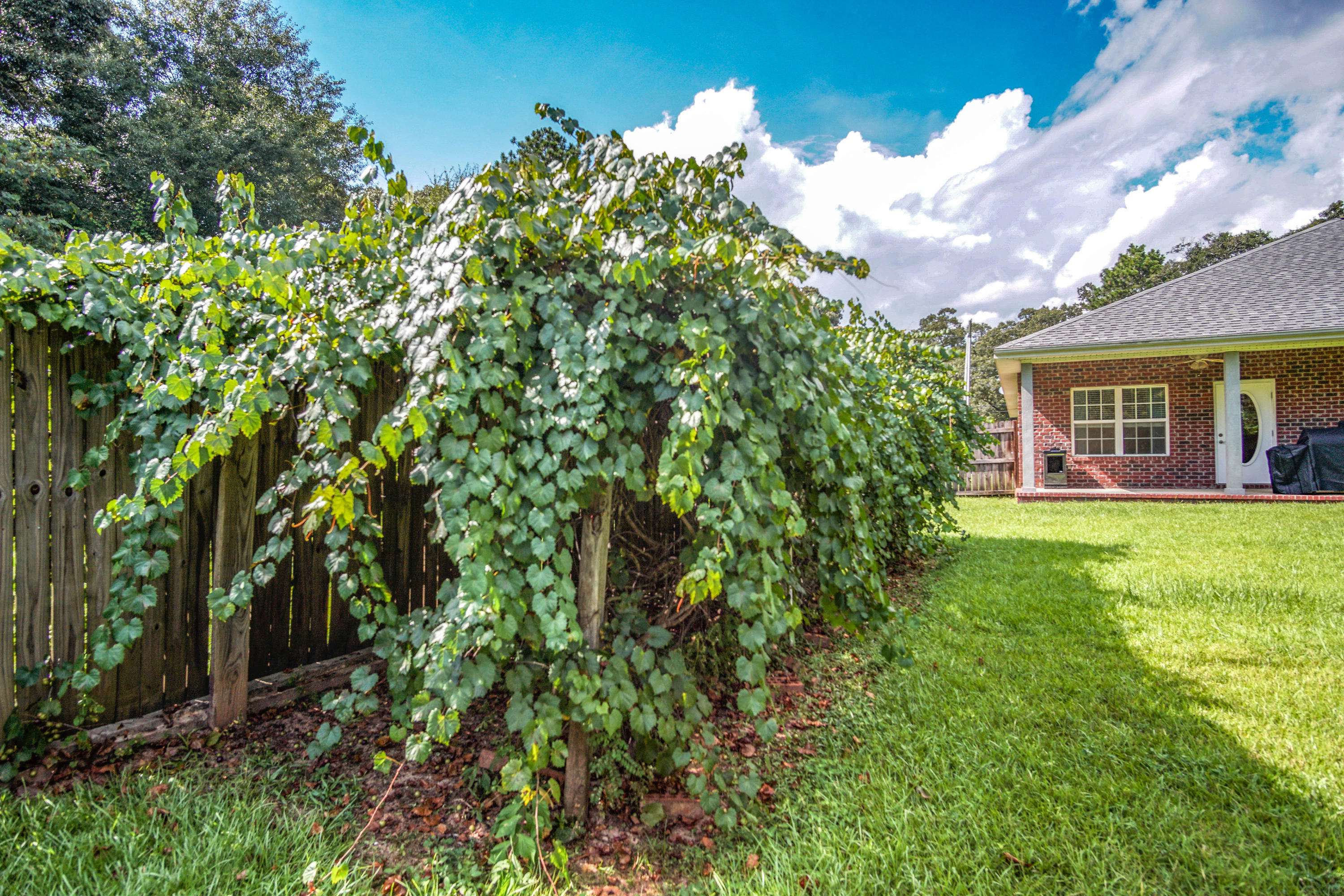 ADAMS POWELL - Residential