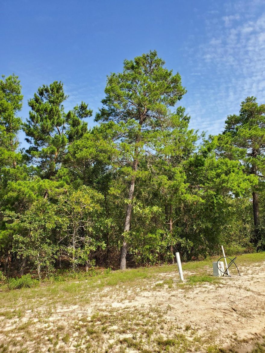 1.82 Acre lot located at the rear of Windswept Estates. Windswept is an amazing golf community complete with large lots and a well ran HOA which maintains the community amenities including a large swimming pool and clubhouse, two tennis courts, basketball court, playground facility and all common grounds.Lot 13 and 15 are also listed for sale.