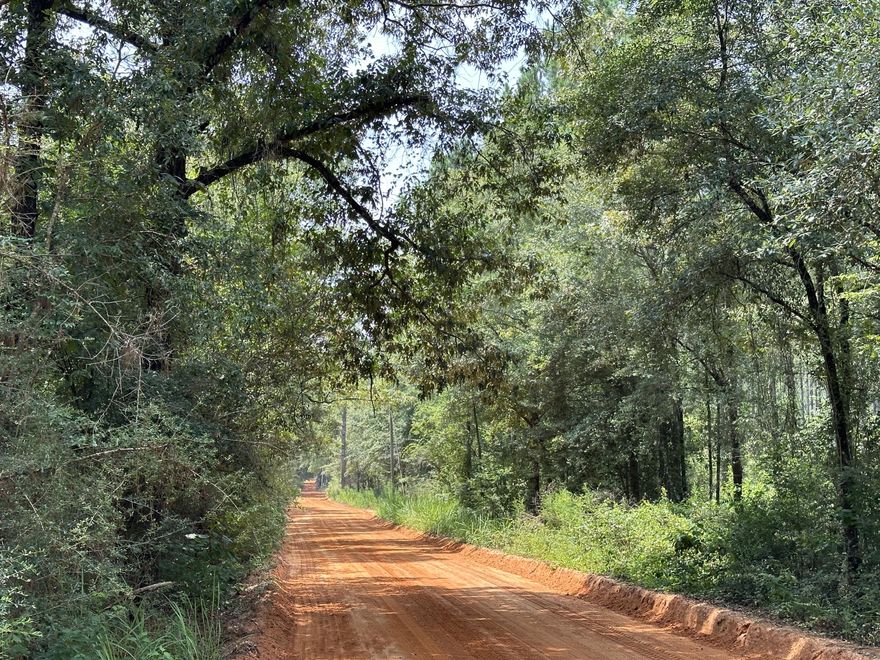 Little Slice of paradise here in Laurel Hill/north Walton!10+/- Acres of prime land featuring beautiful oak trees and dirt road frontage.The perfect location for your new home and has easy access to and from Hwy 2, Hwy 85 and the FL/AL state line. Enjoy endless options of your favorite restaurants, beaches and shopping centers and much more!Additional Acreage and a House is available!