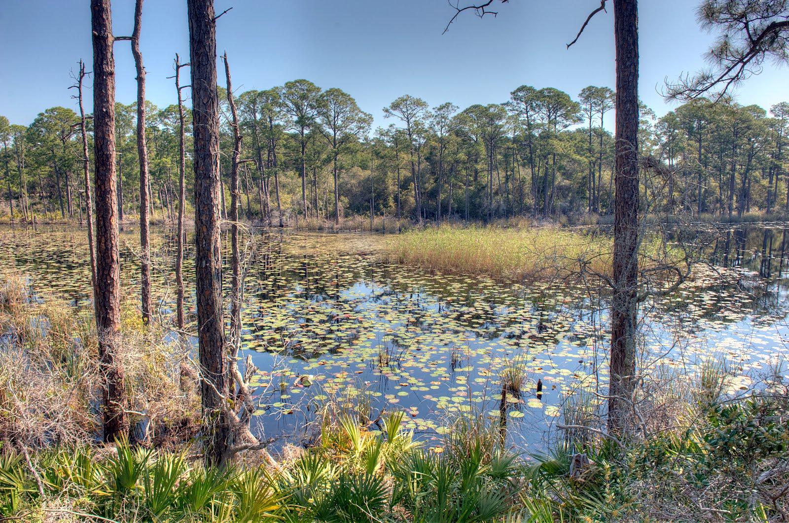 REDFISH VILLAGE - Residential