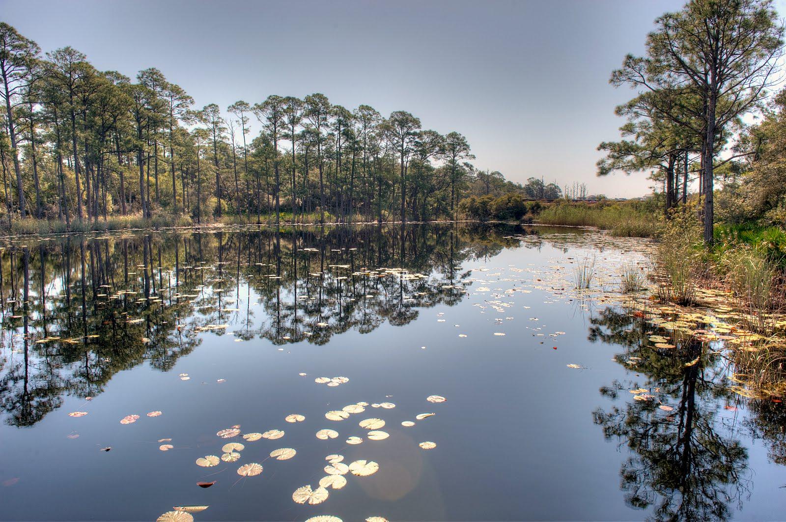 REDFISH VILLAGE - Residential