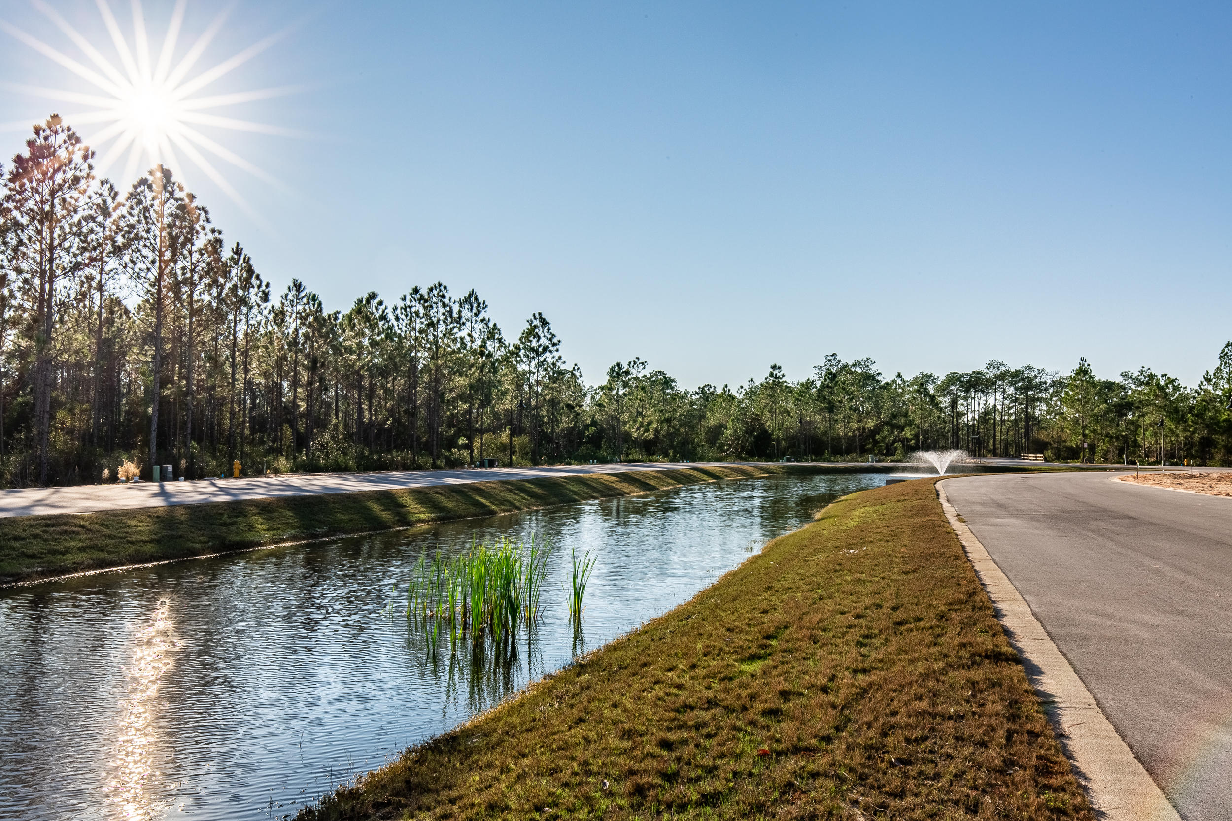 COTTAGE GROVE - Residential