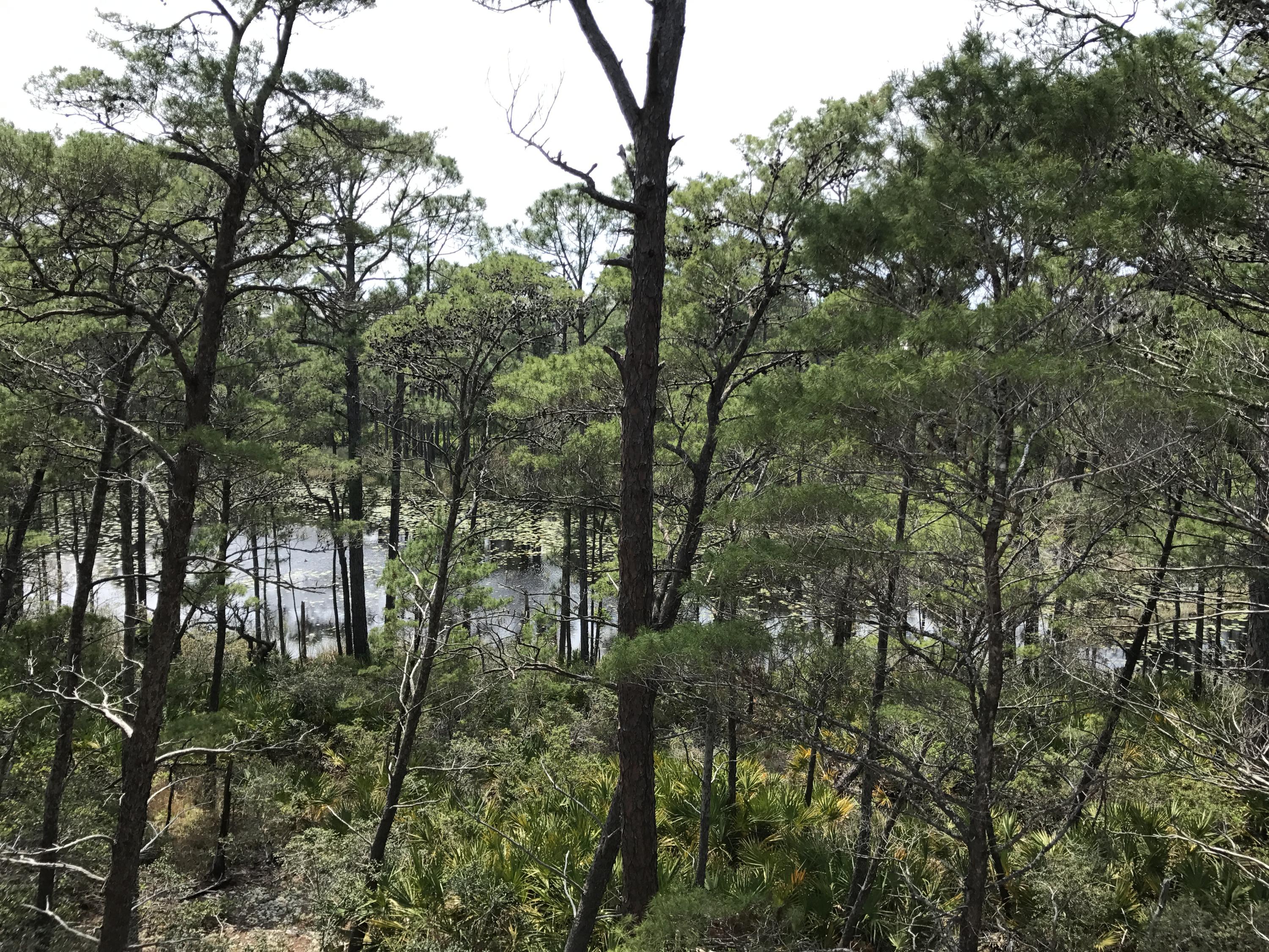 LAKESIDE AT BLUE MOUNTAIN BEACH - Residential