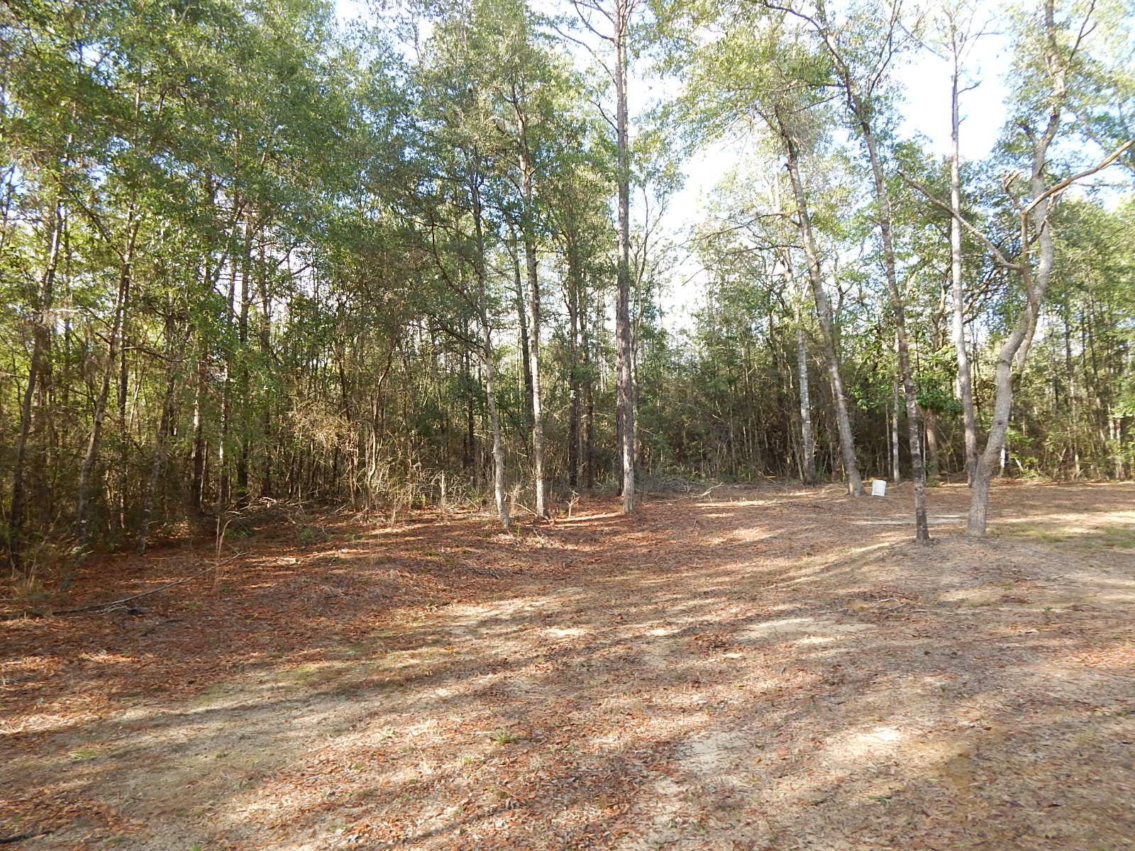 Metes and Bounds - Residential