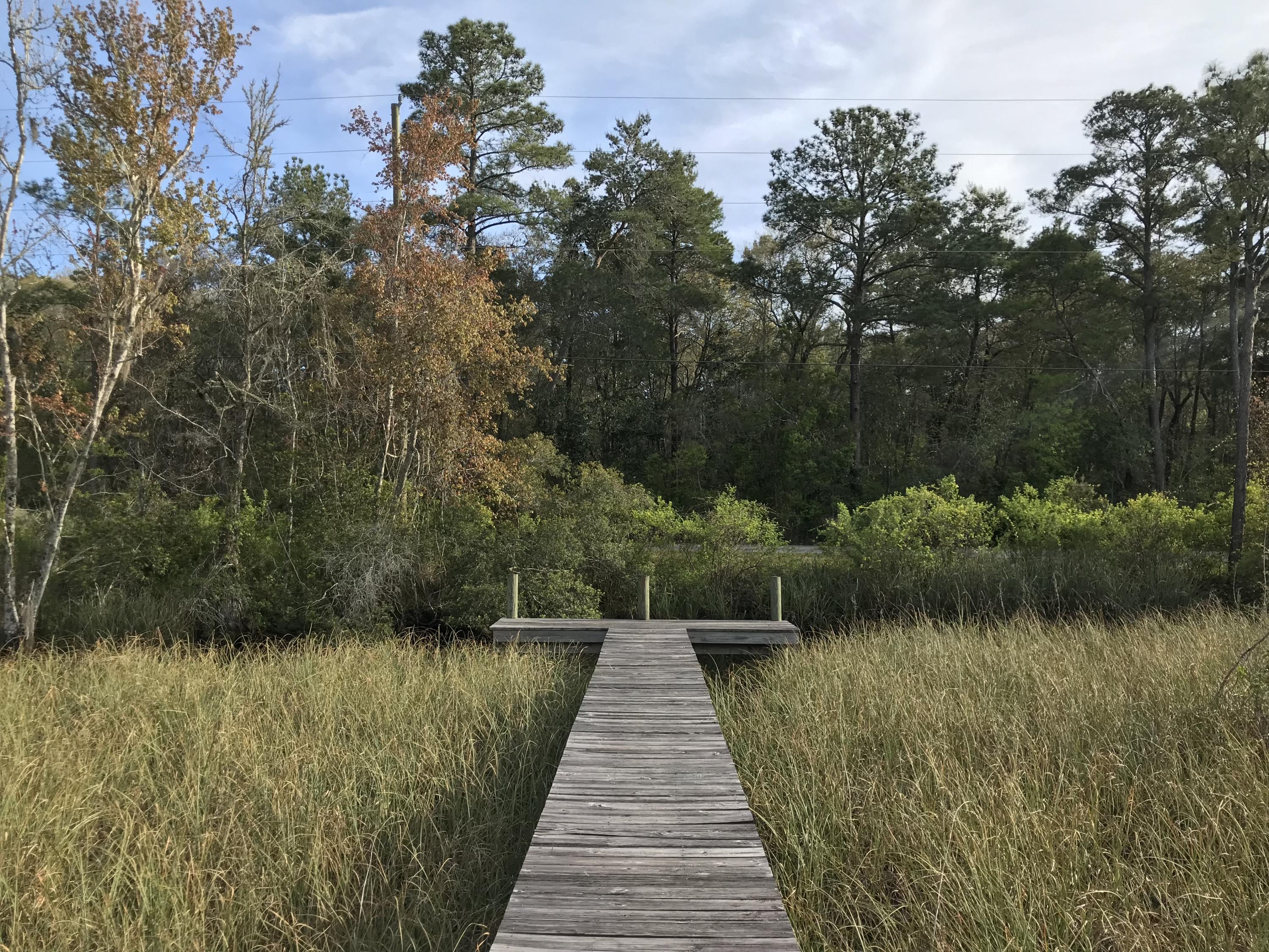 GRAYTON BAYOU - Land