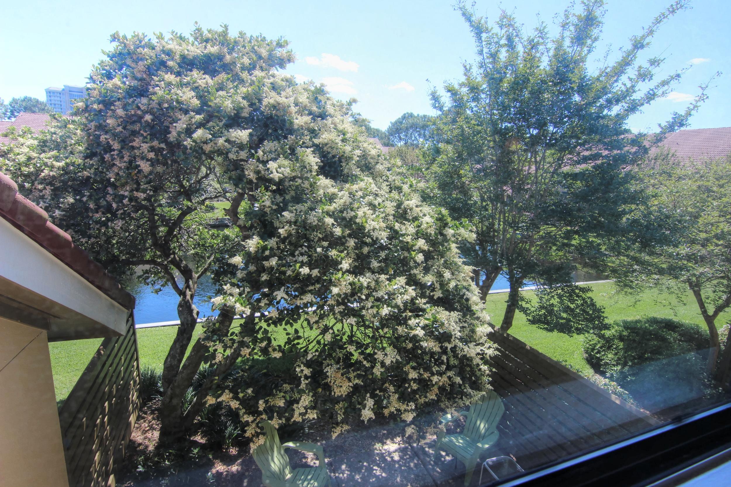 BEACHWALK VILLAS PH 04 - Residential