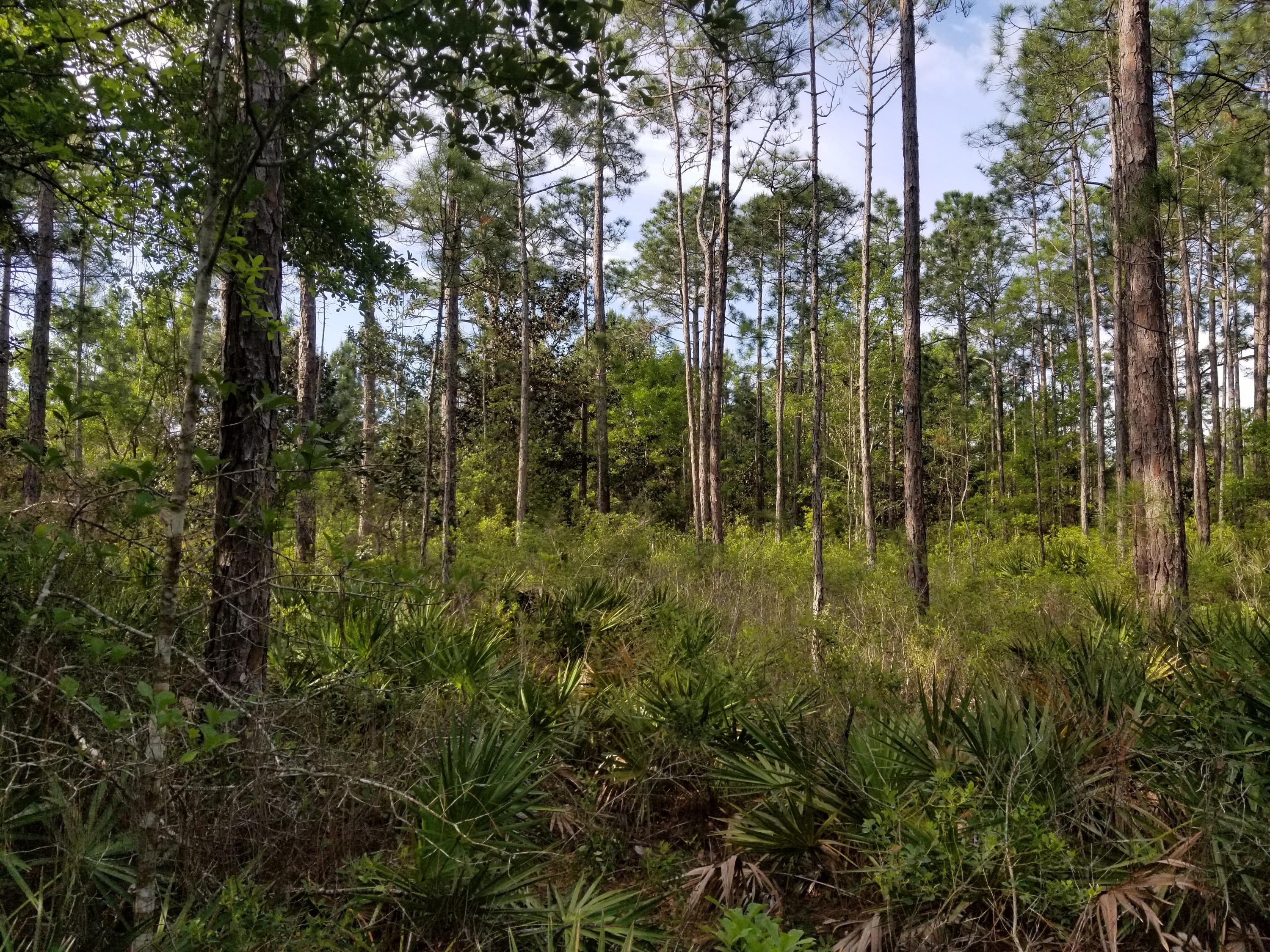 FOXMIRE FARMS UNREC - Land