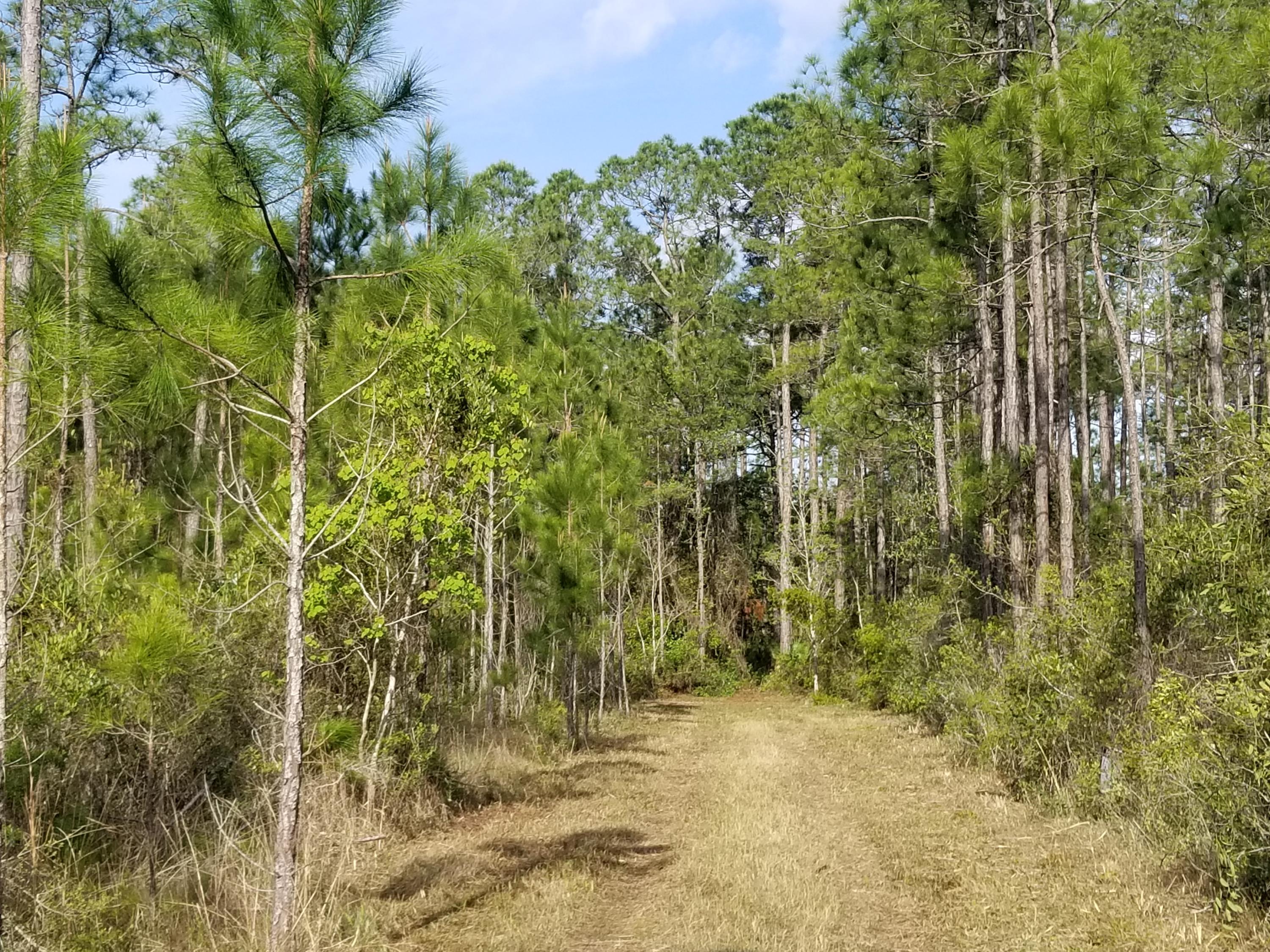 FOXMIRE FARMS UNREC - Land