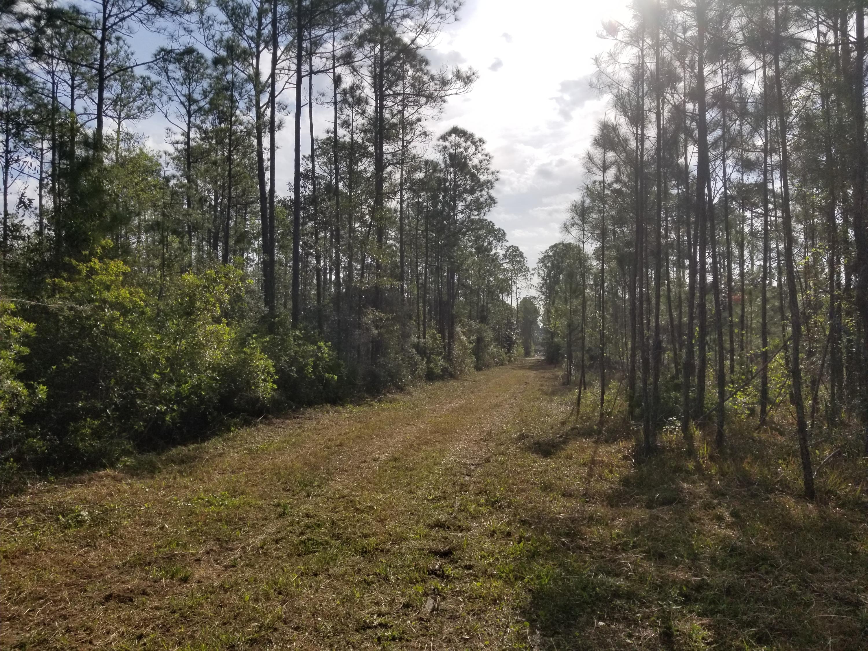 FOXMIRE FARMS UNREC - Land