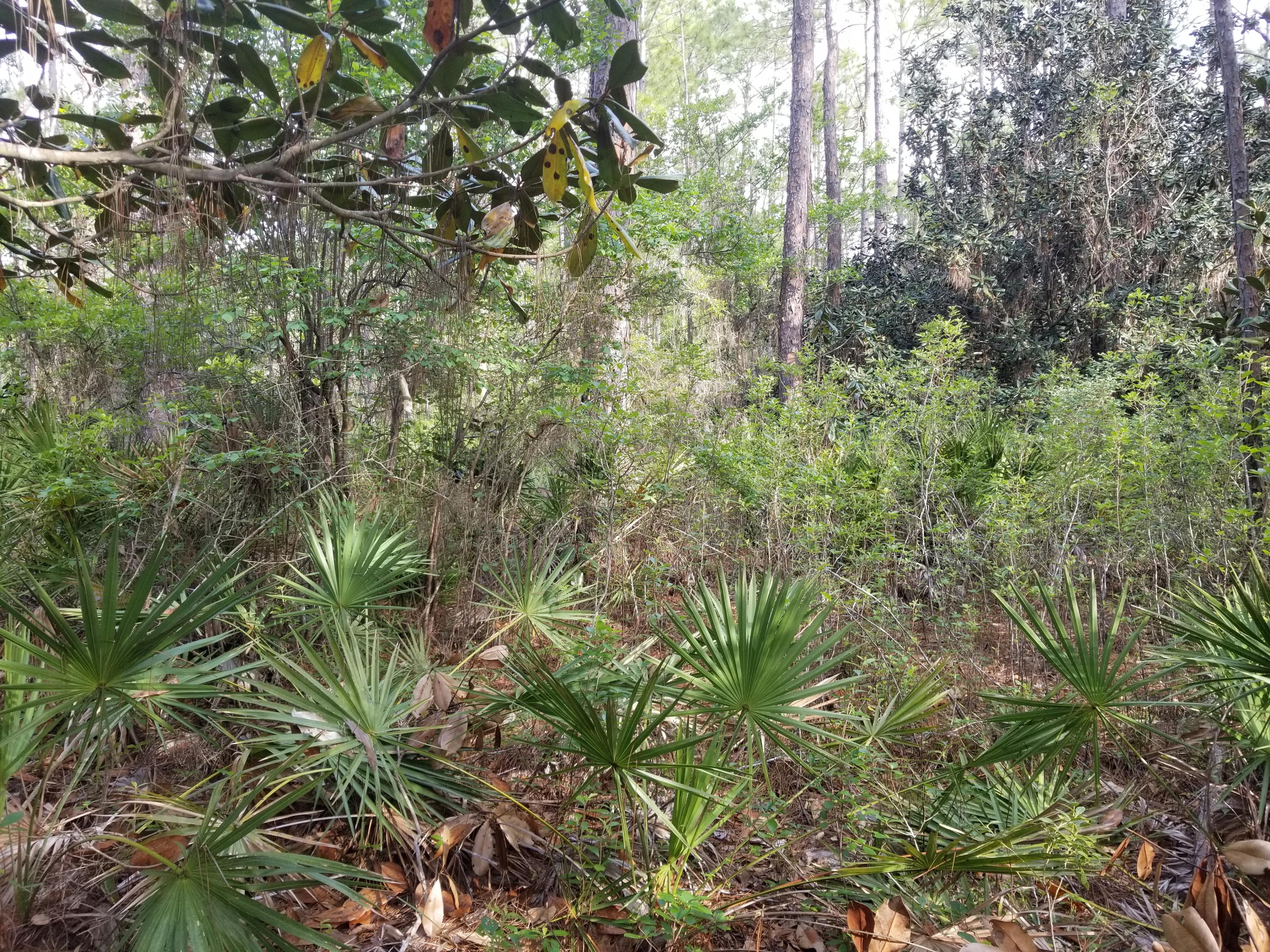 FOXMIRE FARMS UNREC - Land