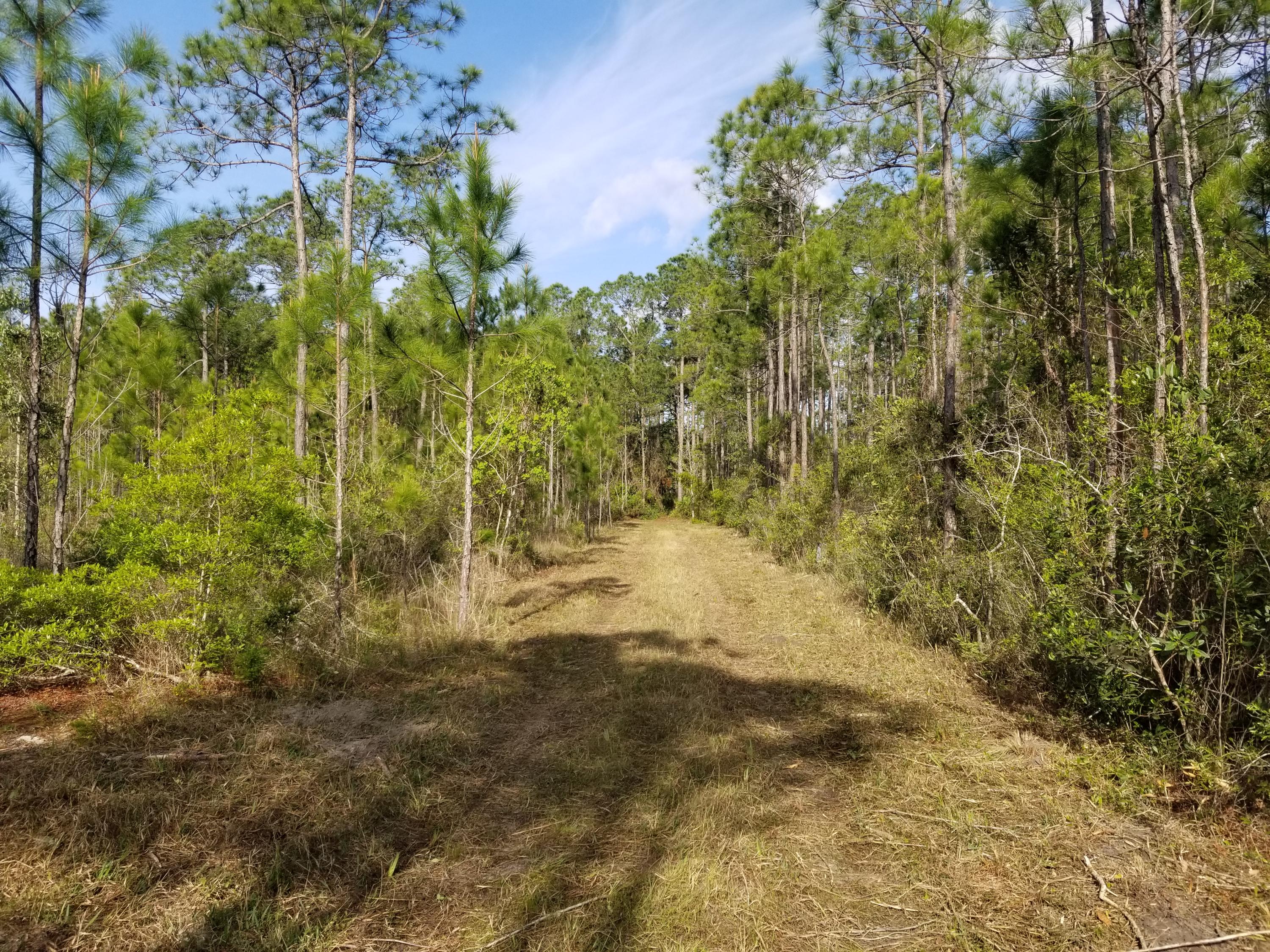 Lot is approx 90'x145'. All wooded. Road is unimproved 1 lane woods road. Seller is licensed Florida Real Estate agent. Zoned Conservation Residential (CR 2/1), allows for 40% of the lot to be cleared, 60% to remain natural.