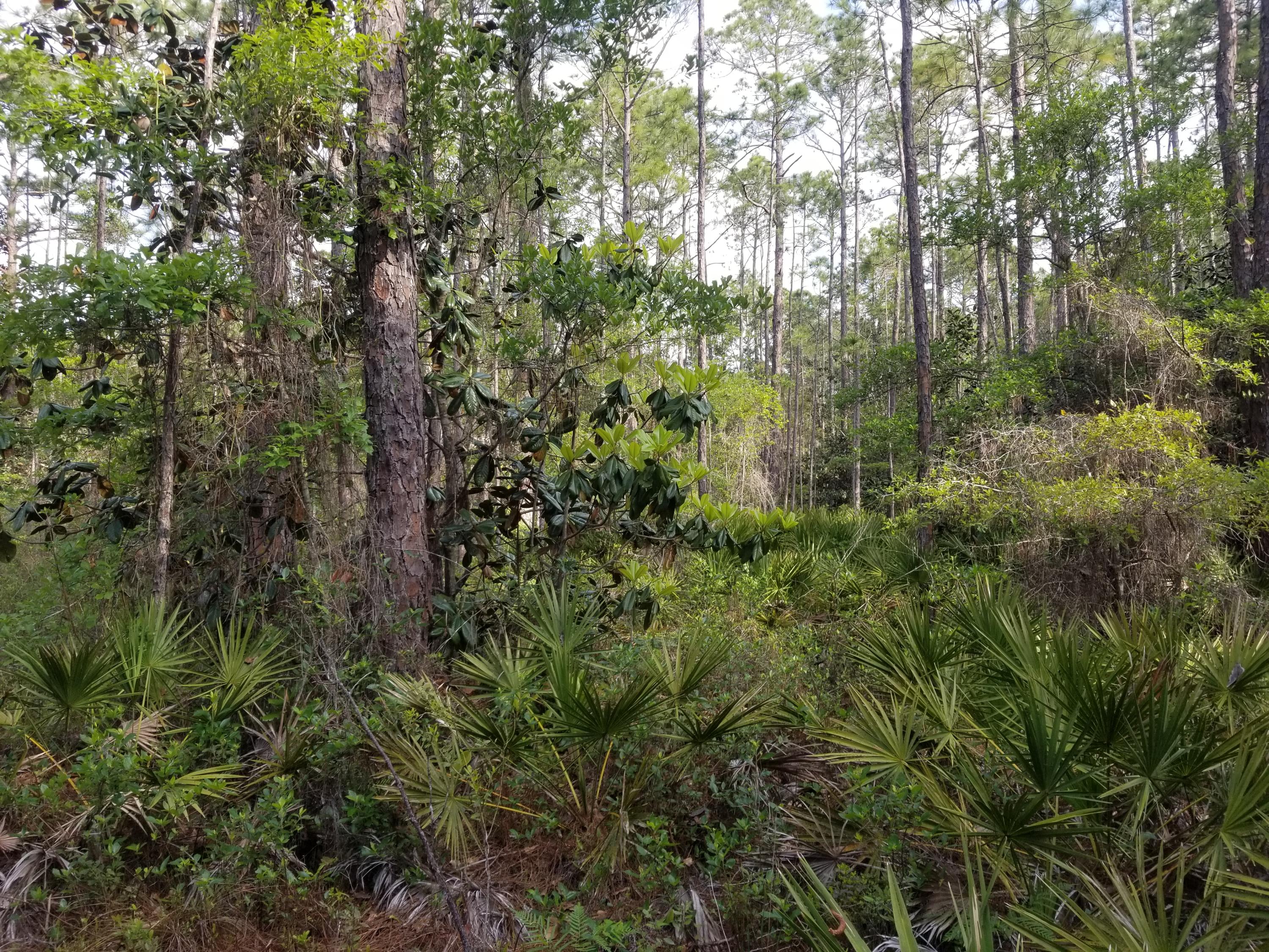 FOXMIRE FARMS UNREC - Land