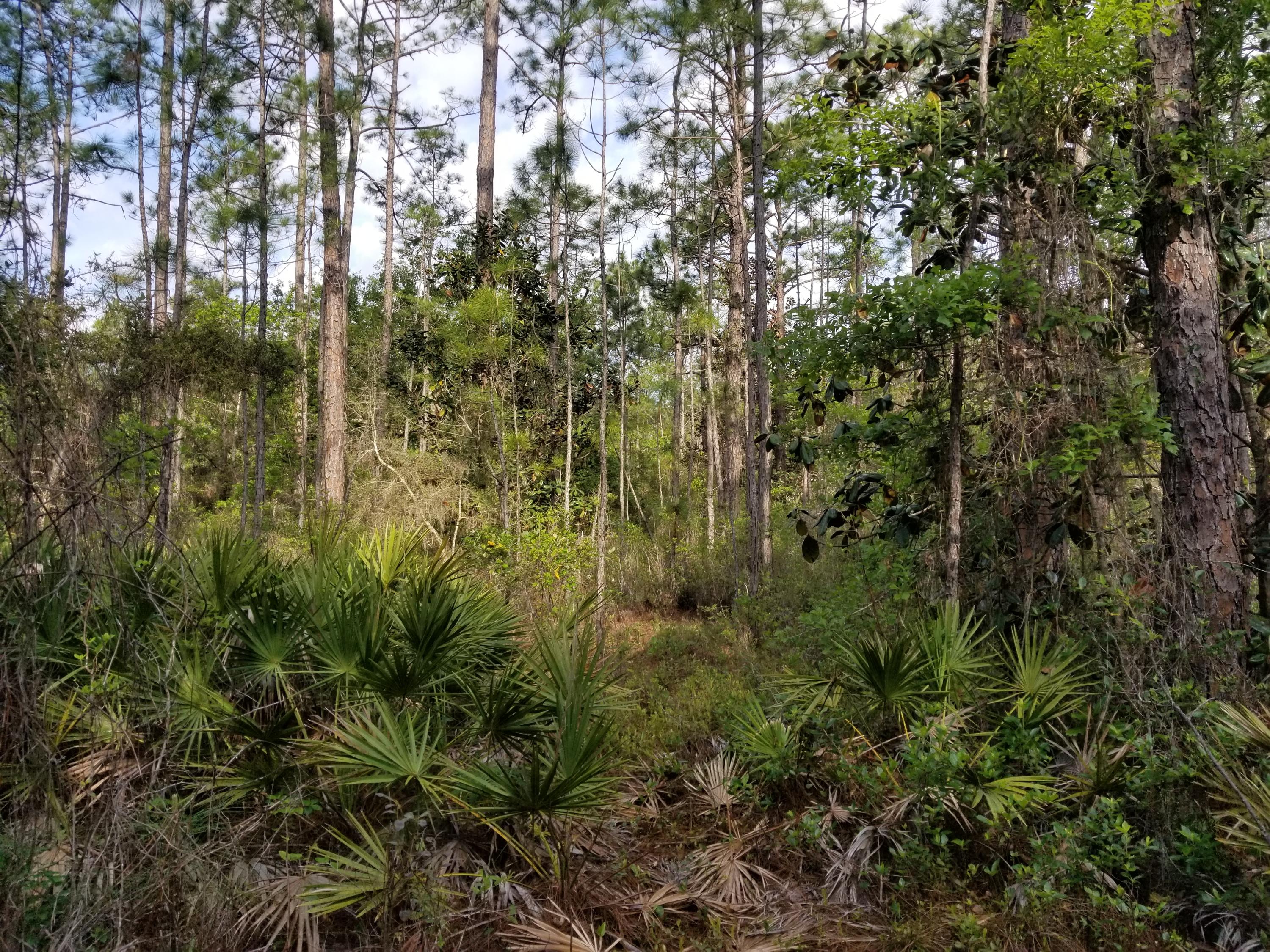 FOXMIRE FARMS UNREC - Land