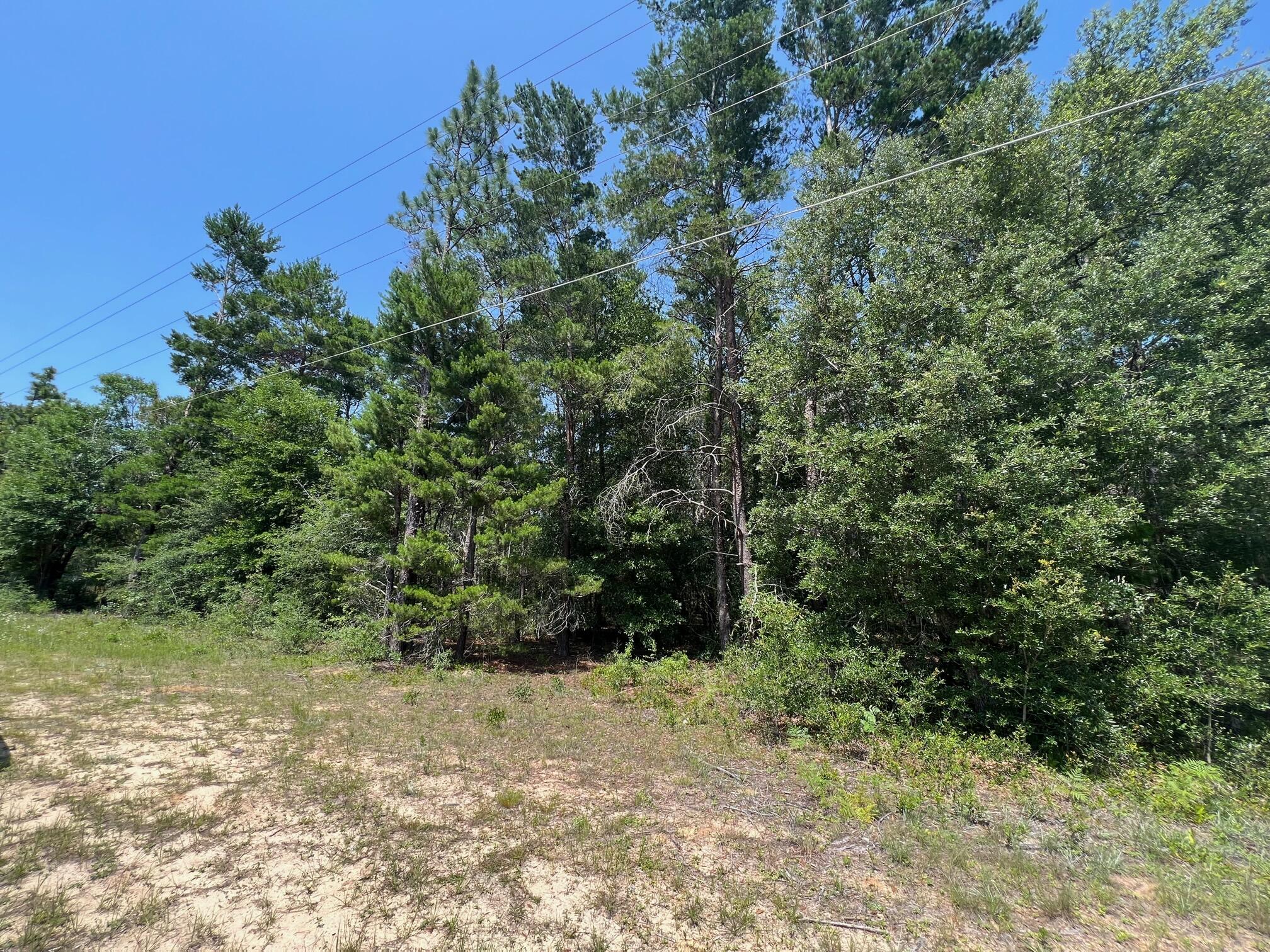 OAKWOOD HILLS UNIT 1 - Land