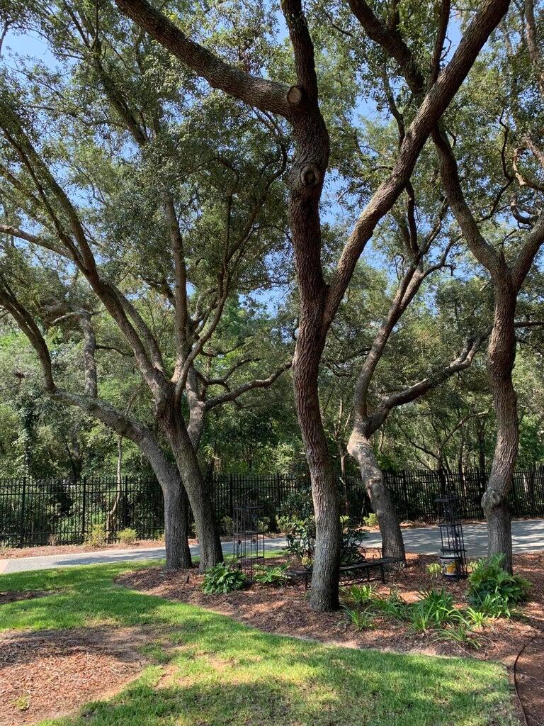 BAYOU POINT - Residential