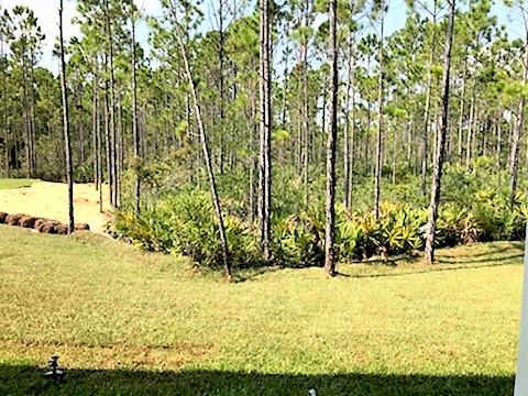 Eagle Bay Landing - Residential