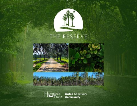 Photo of Lot 39 Reserve At Hammock Bay, Freeport, FL 32439 (MLS # 988444)