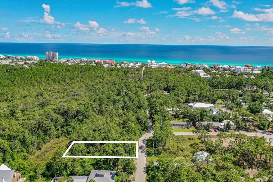 Build your dream beach retreat just two blocks off San Juan Avenue within biking or walking distance of the San Juan beach access. Situated in the revitalized Gulf Shore Manor neighborhood, many new homes here are under construction. It is a coveted location due to no HOA fees or additional building restrictions or requirements. Occupying a 50-ft. by 135-ft. footprint, build to suit your needs with a cozier beach home or a larger property for a lucrative rental investment. A survey can be provided. Gulf Shore Manor is a historic neighborhood established in Seagrove Beach close to everything locals and visitors alike love about Scenic Highway 30A including shopping, dining, beaches and entertainment.