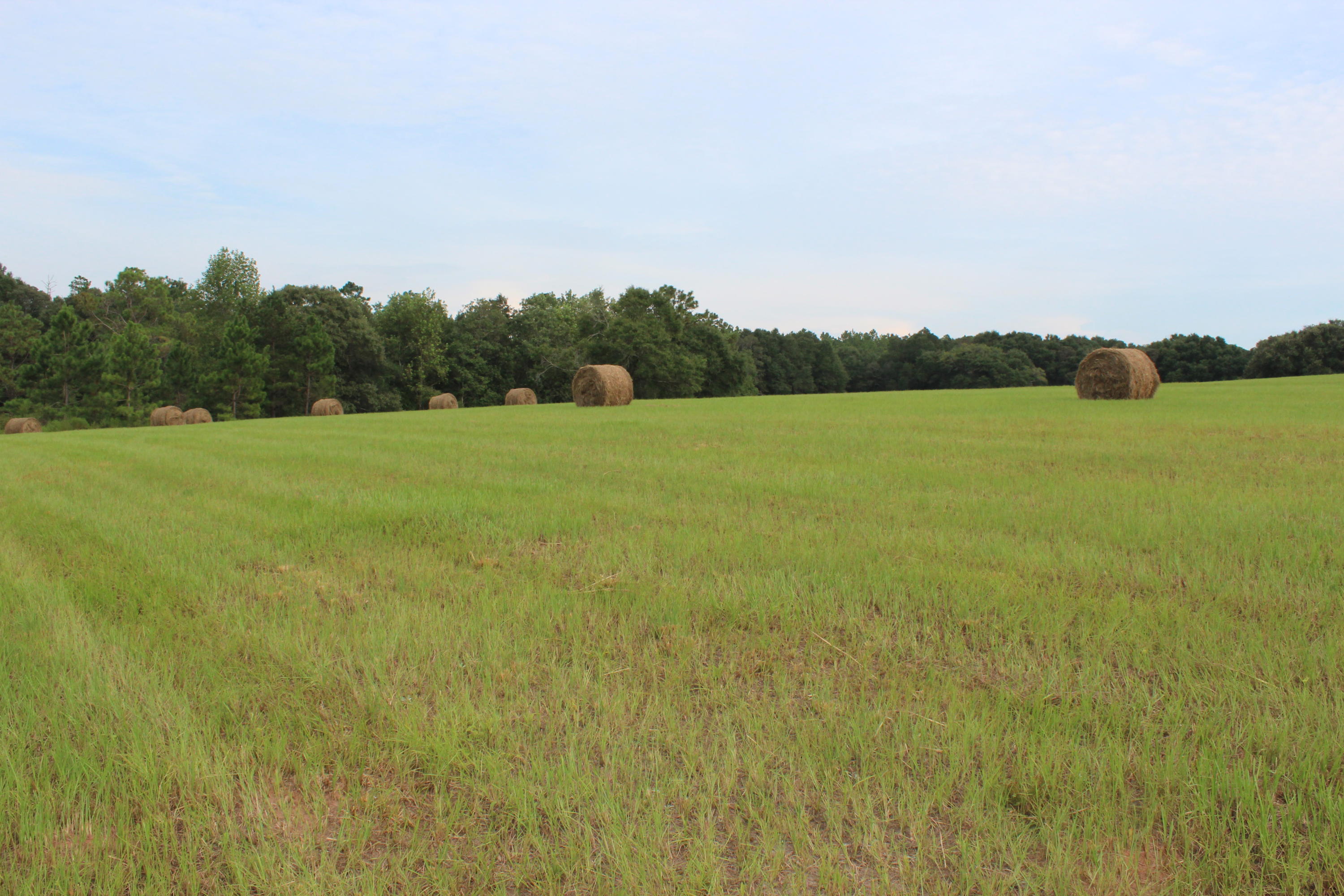 METES & BOUNDS - Farm