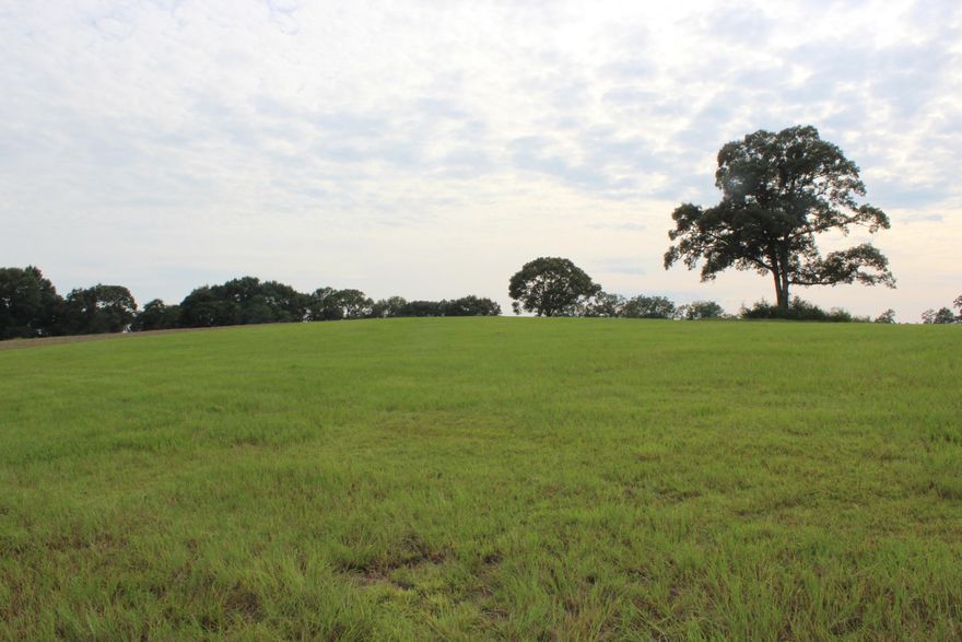 MAJOR PRICE REDUCTION OF OVER $50,000. Looking for that special piece of property with all the extras plus privacy and a tranquil environment. 40 acres with approximately 30 acres is in lush permanent Bahia grass pasture, some fencing, pond and watering hole. Stately Red Oaks provide shade and beauty in the pasture. There is a great crop of hay each year grown in the pastures.  The remainder is in natural woodlands of Red Oaks, Live Oaks, Pines and Hickory with trails throughout and an abundance of wildlife. Definitely a one of a kind property. Shown by appointment only. Property is at the end of a Dead End Rd. Electricity is to the adjoining property.