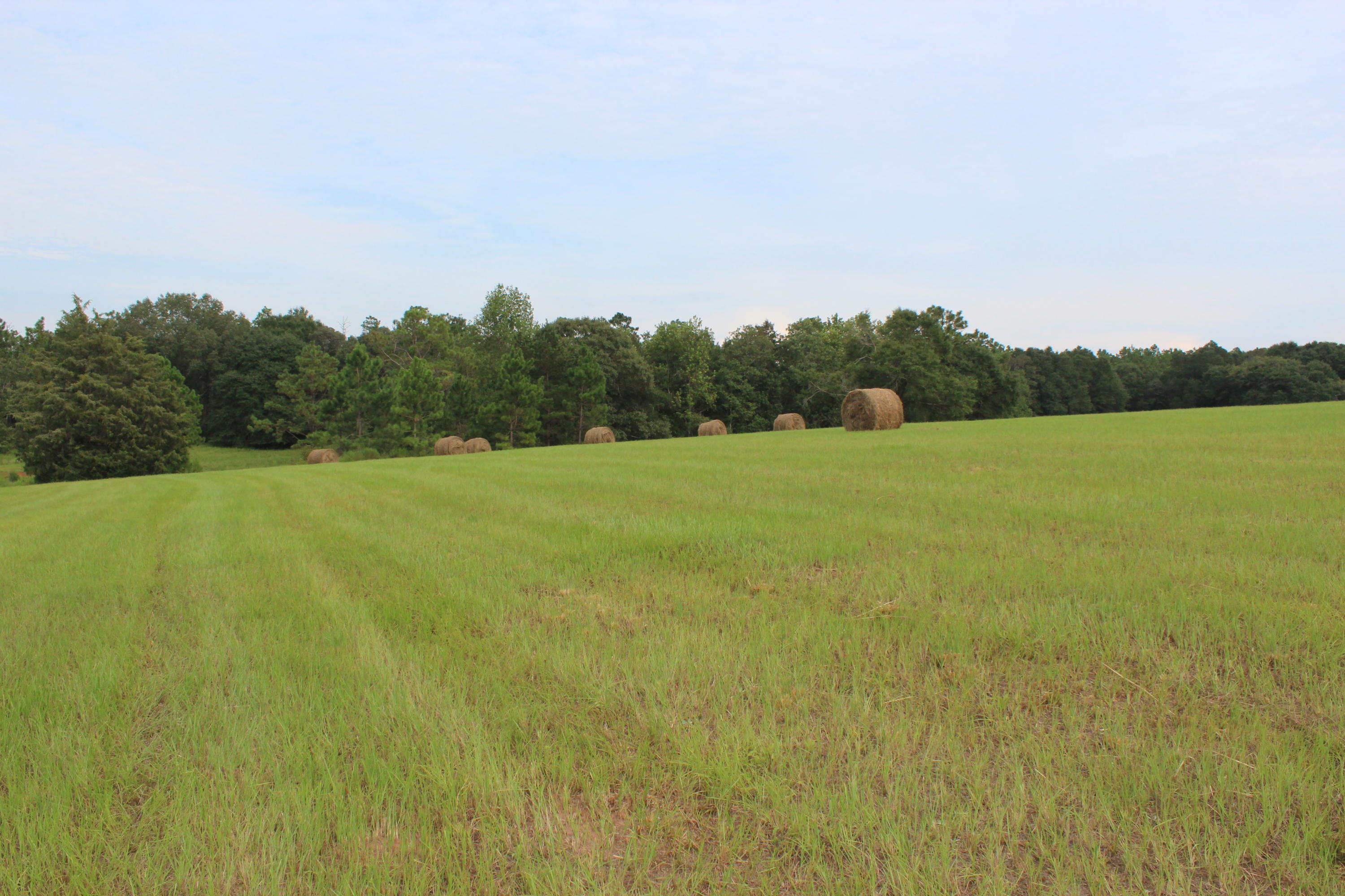METES & BOUNDS - Farm