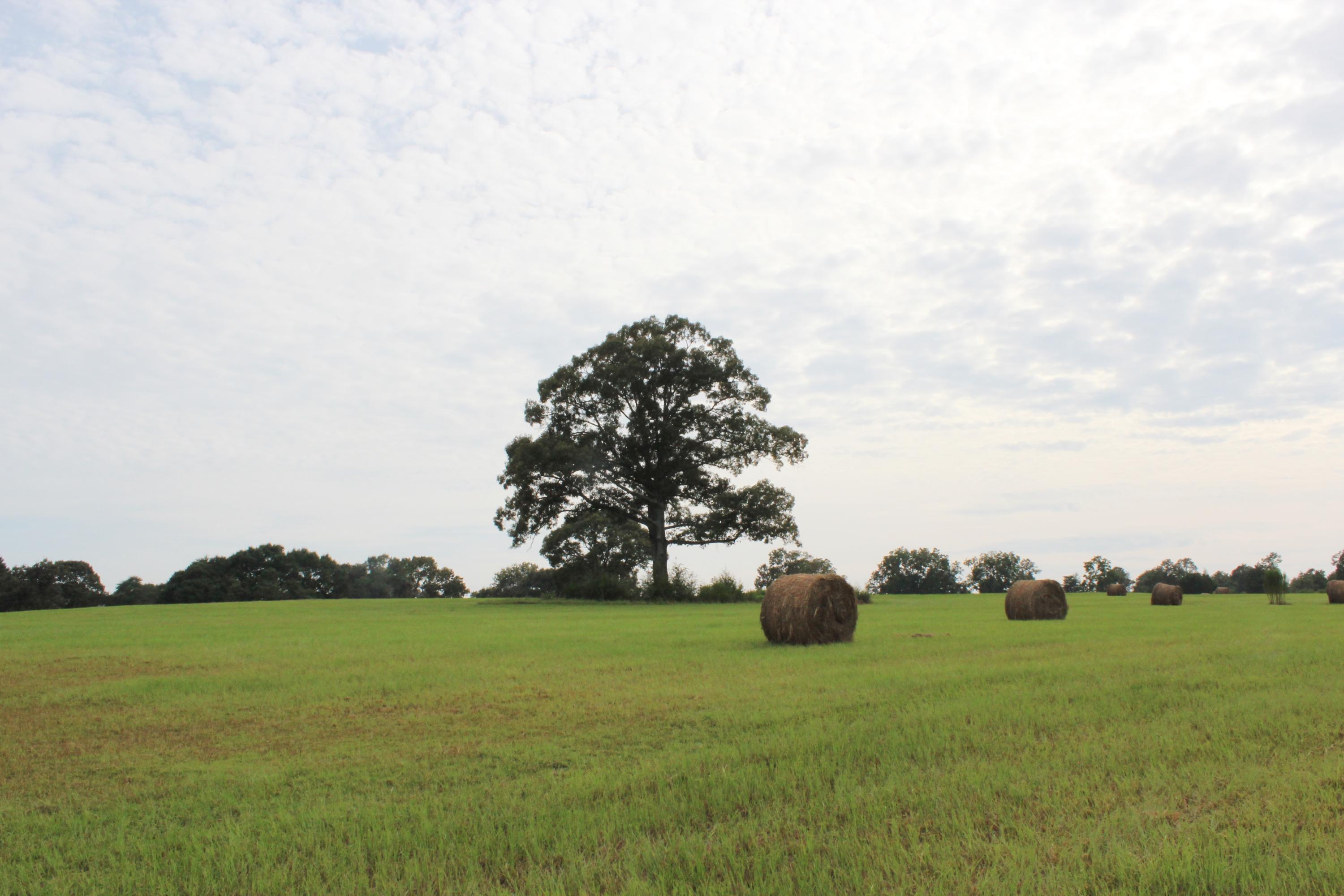 METES & BOUNDS - Farm