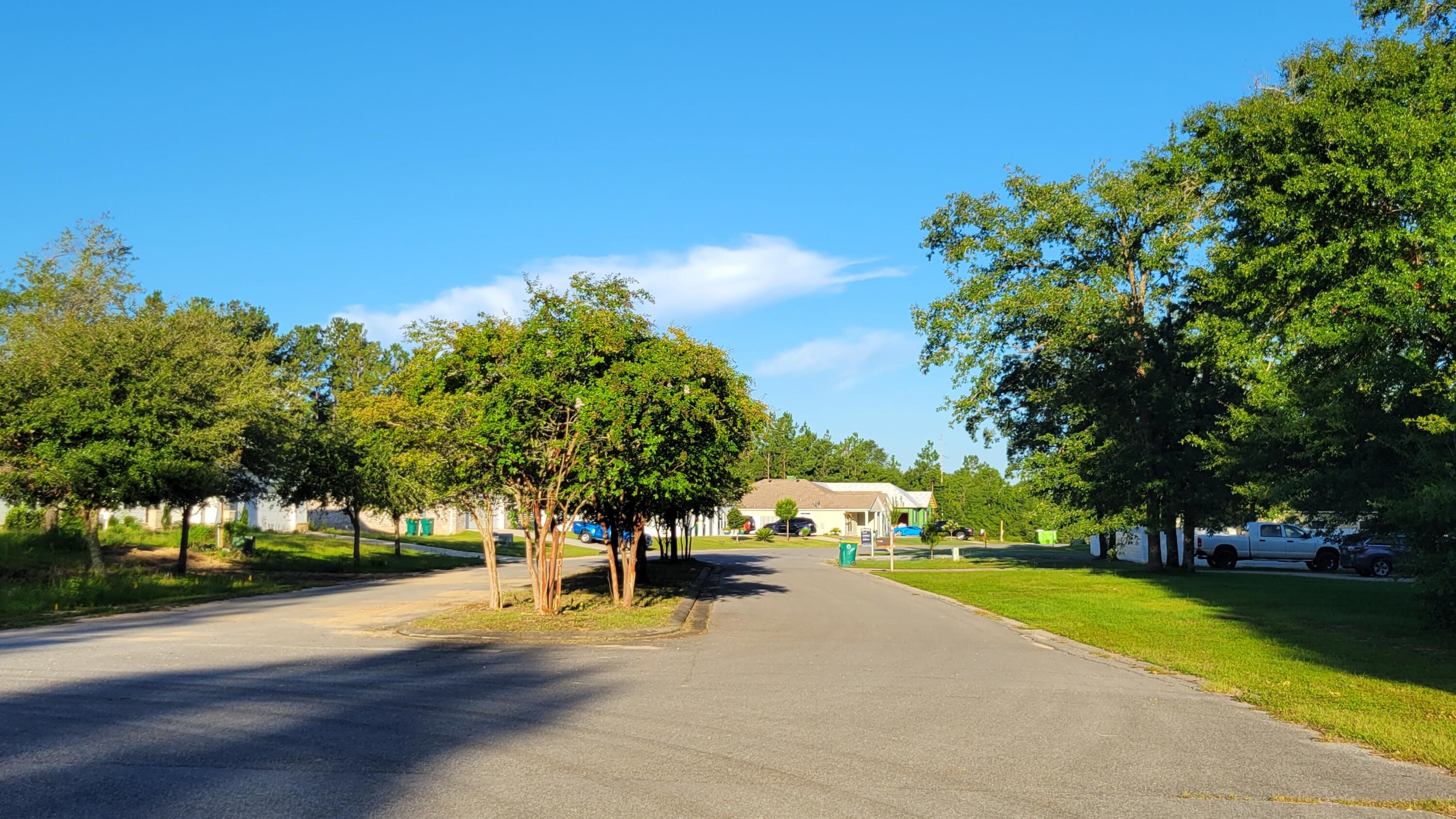 Majestic Oaks Vineyard - Land
