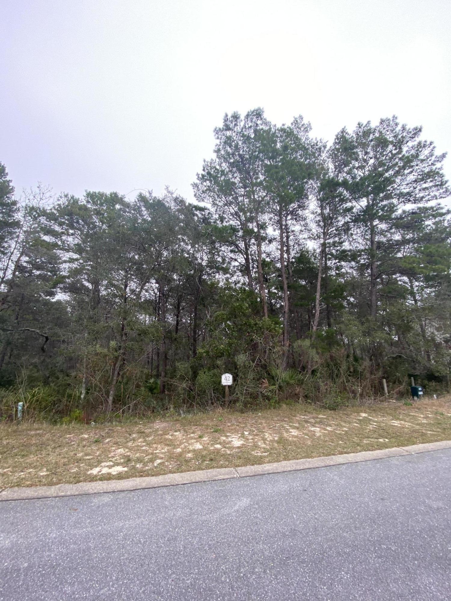 GRANDE POINTE AT INLET BEACH - Land
