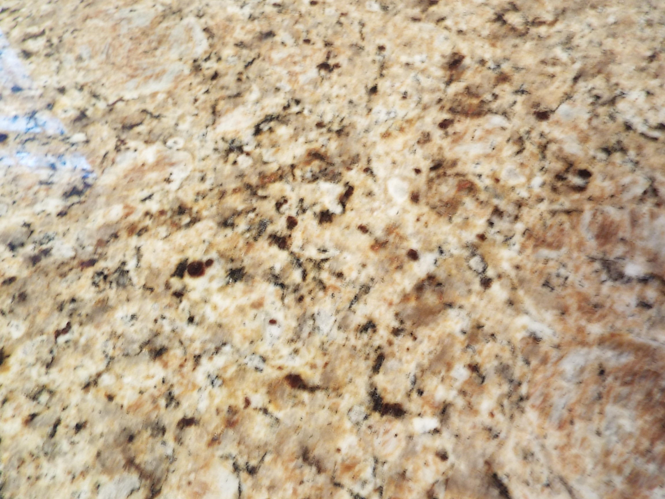 CARIBBEAN EAST UNIT 2 LOT 21 BLK H - Residential