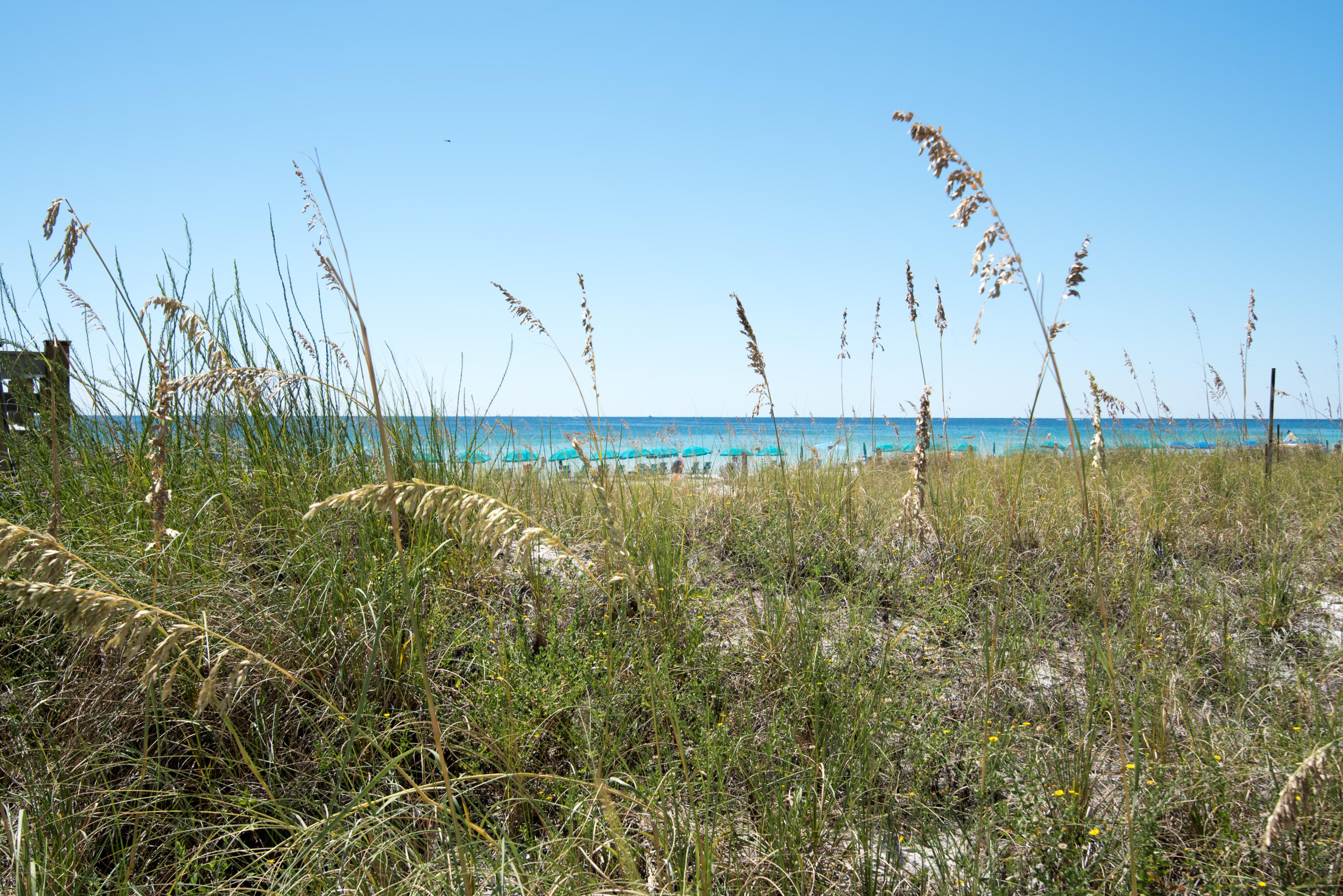 BREAKERS EAST CONDO - Residential